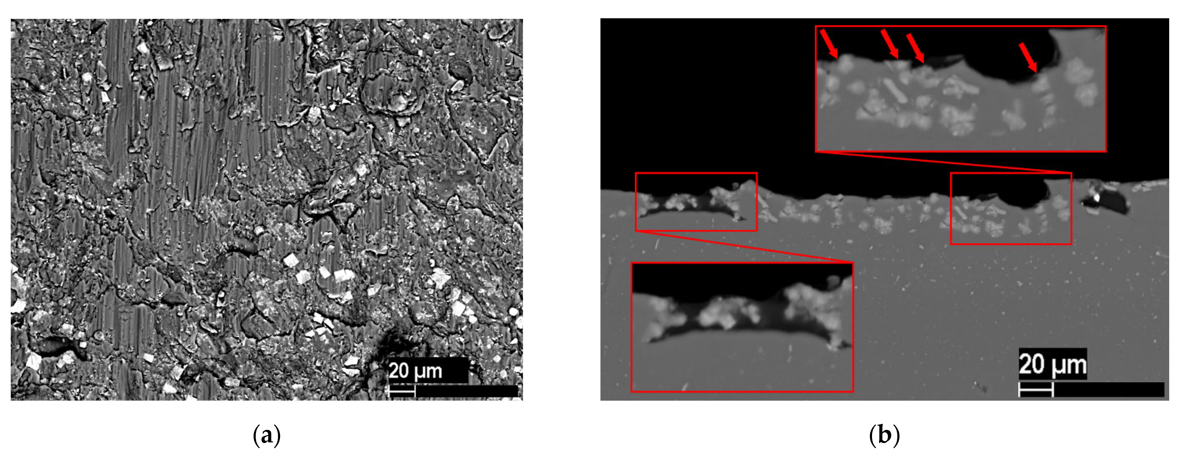 Metals 13 00149 g017