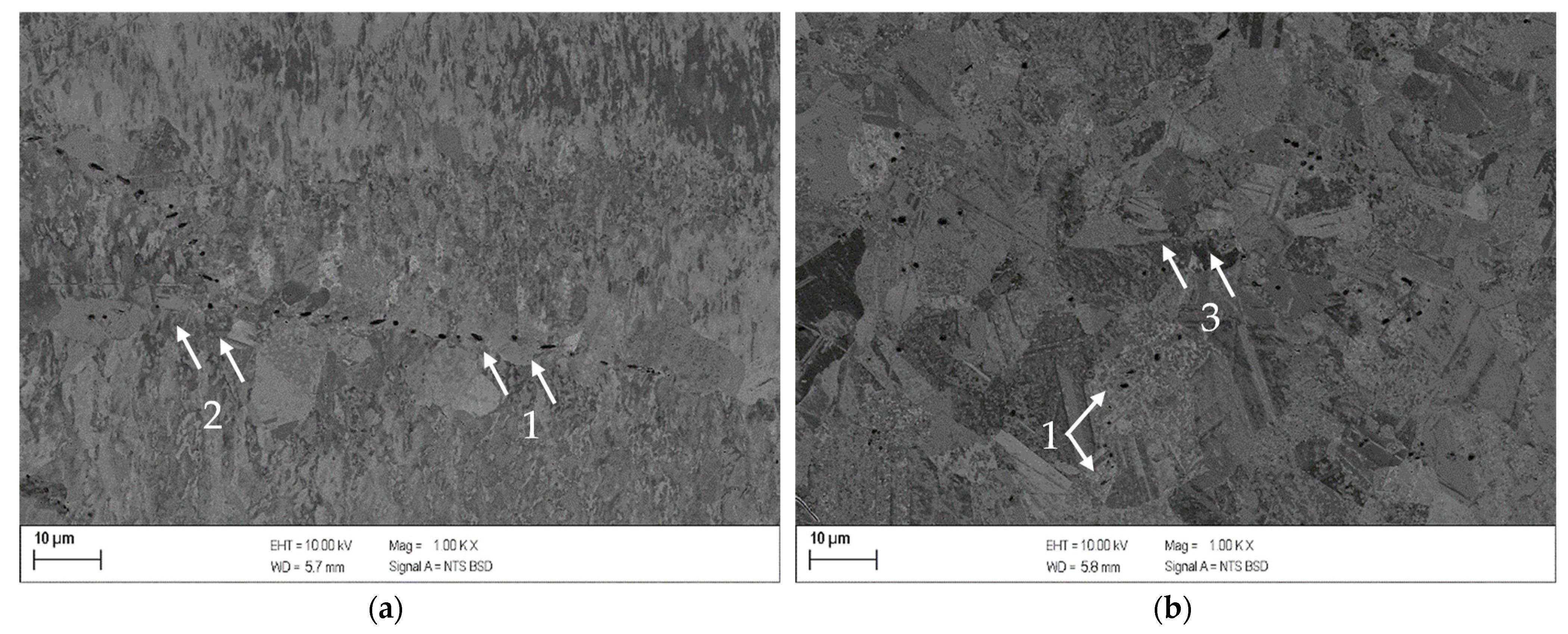 Metals 13 00150 g005