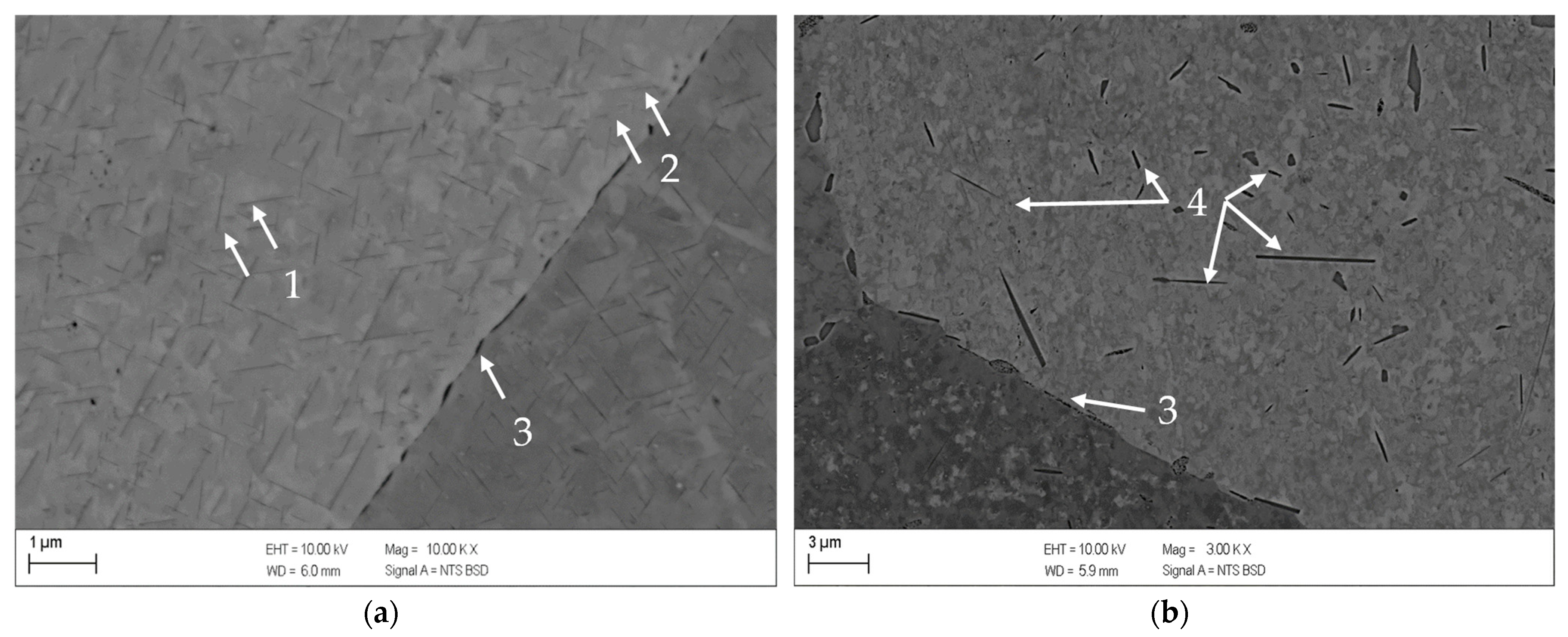 Metals 13 00150 g008