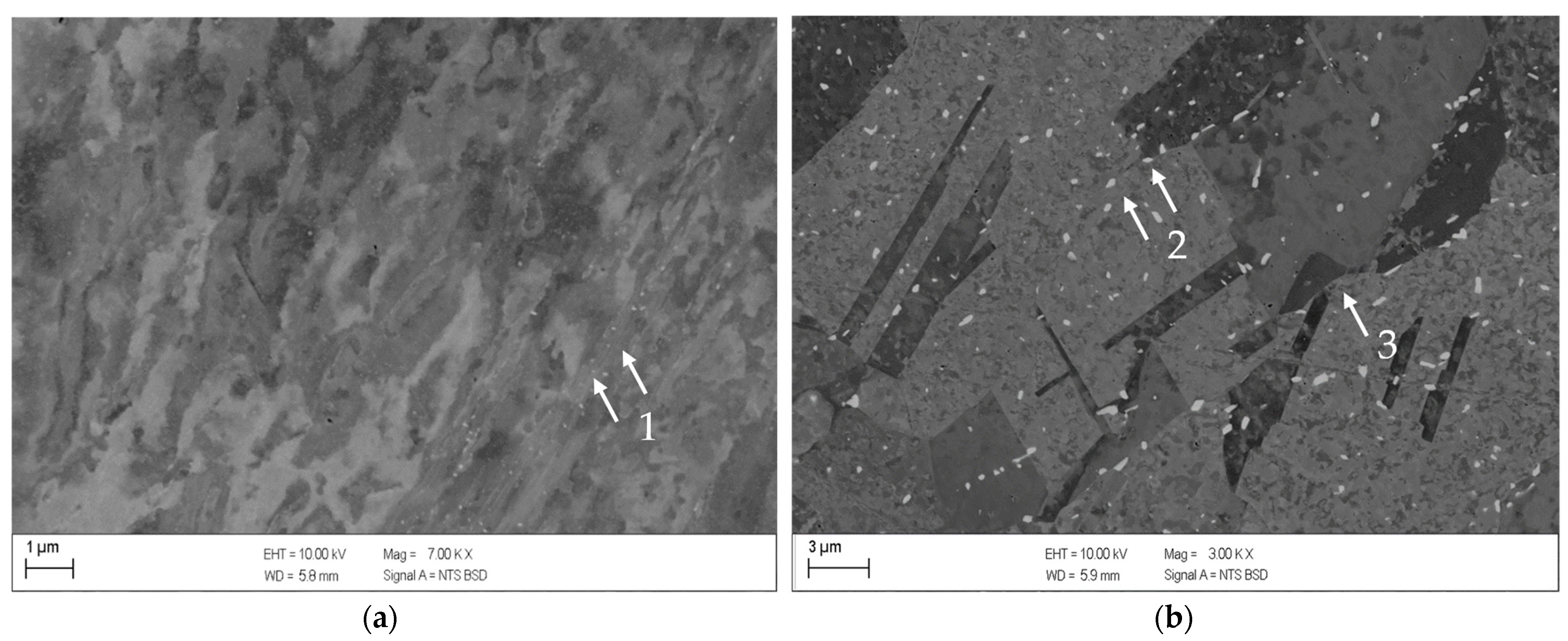 Metals 13 00150 g013