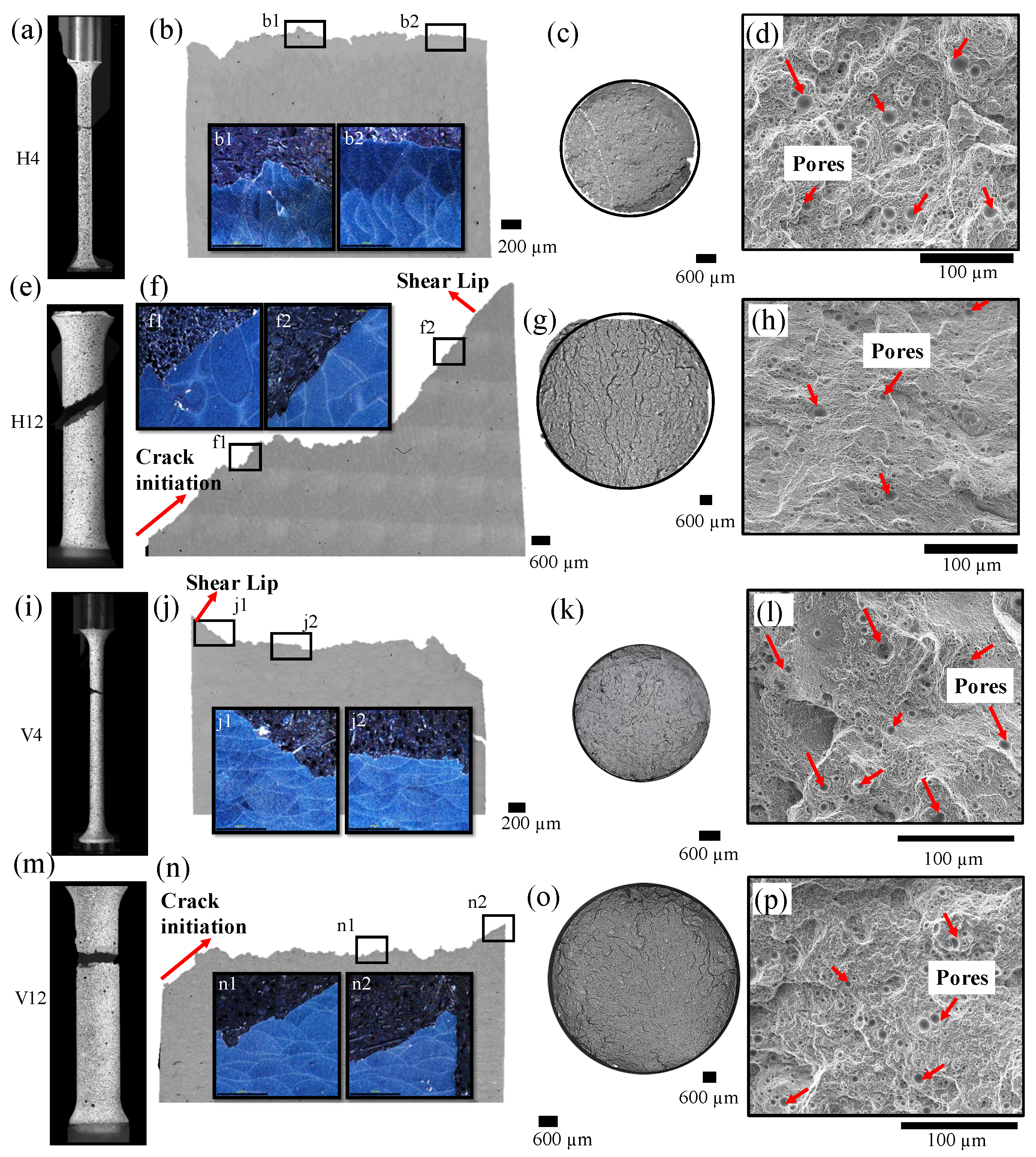 Metals 13 00151 g007