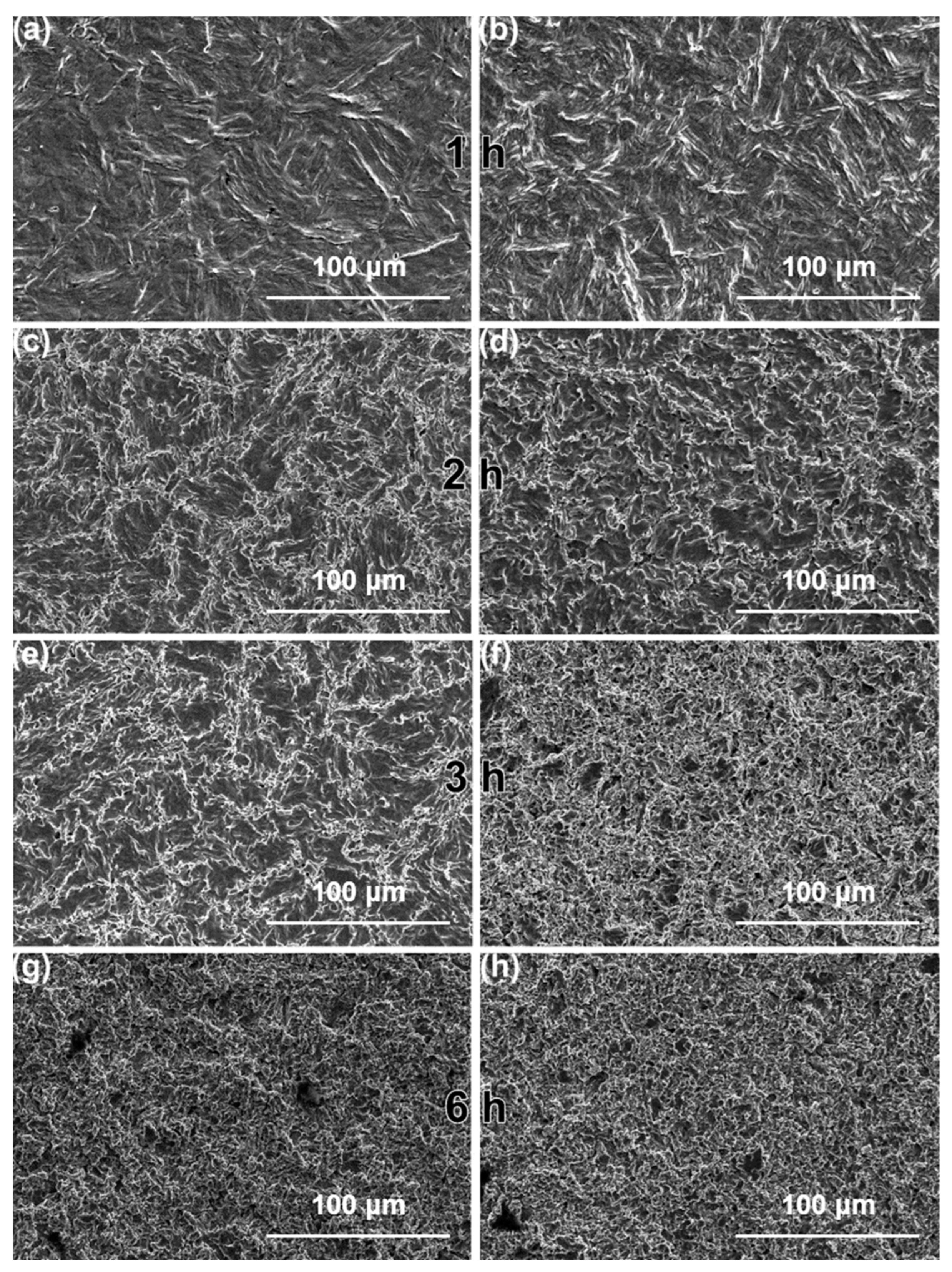 Metals 13 00154 g004