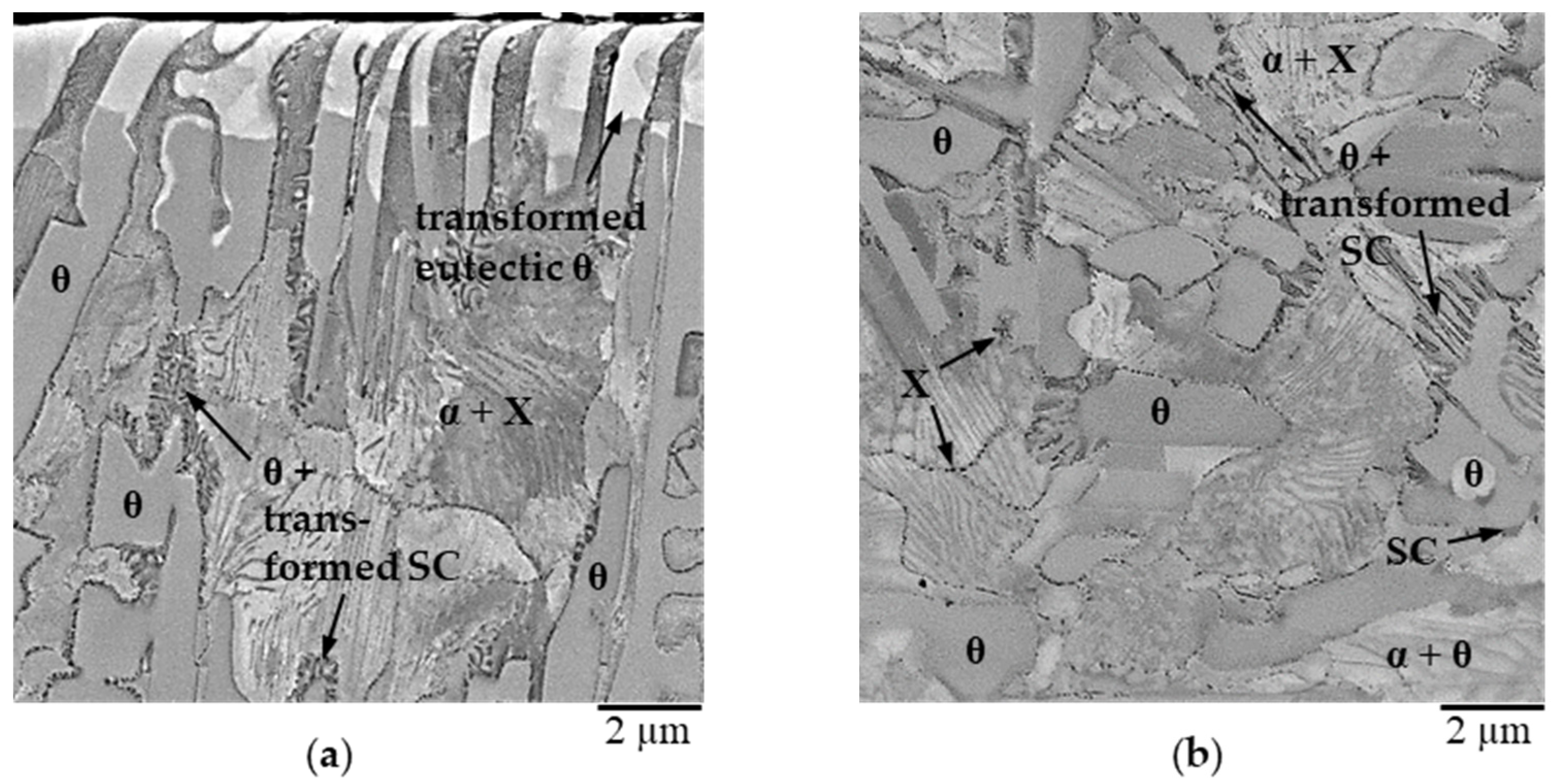 Metals 13 00156 g002