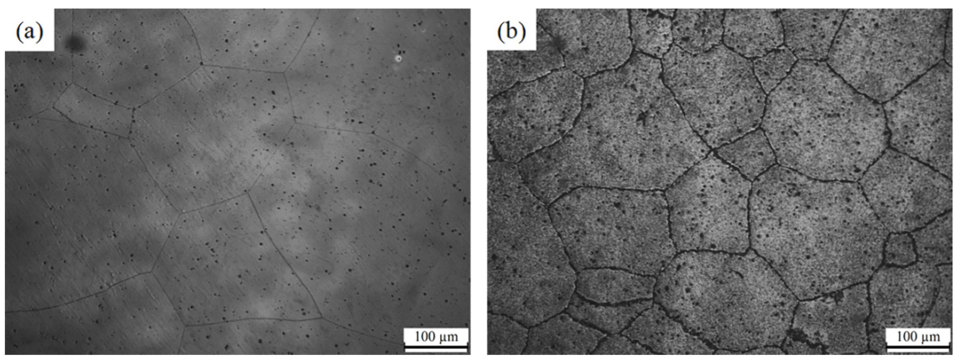 Metals 13 00159 g001