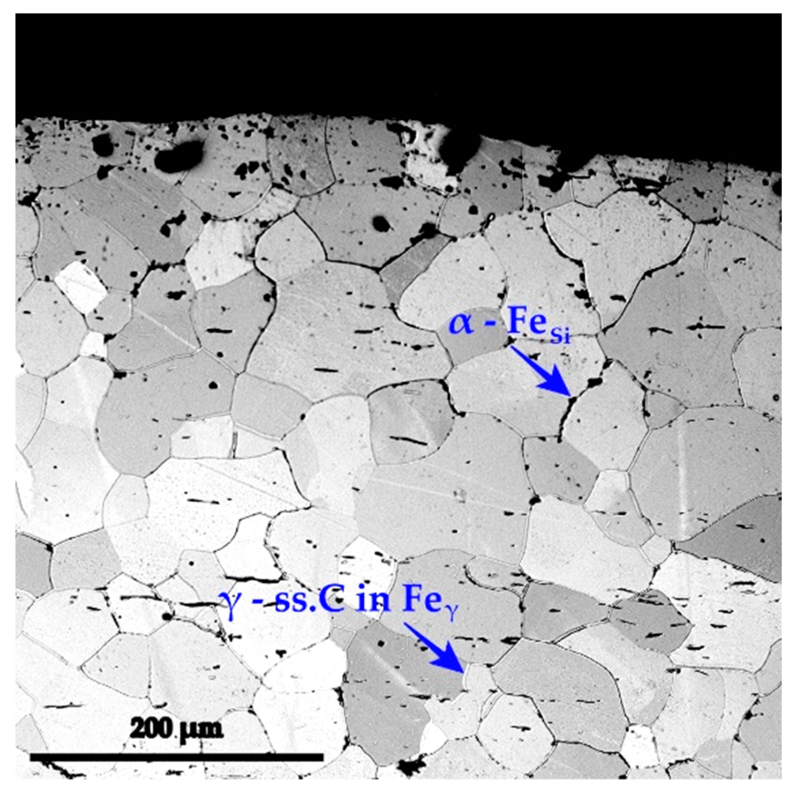 Metals 13 00162 g006