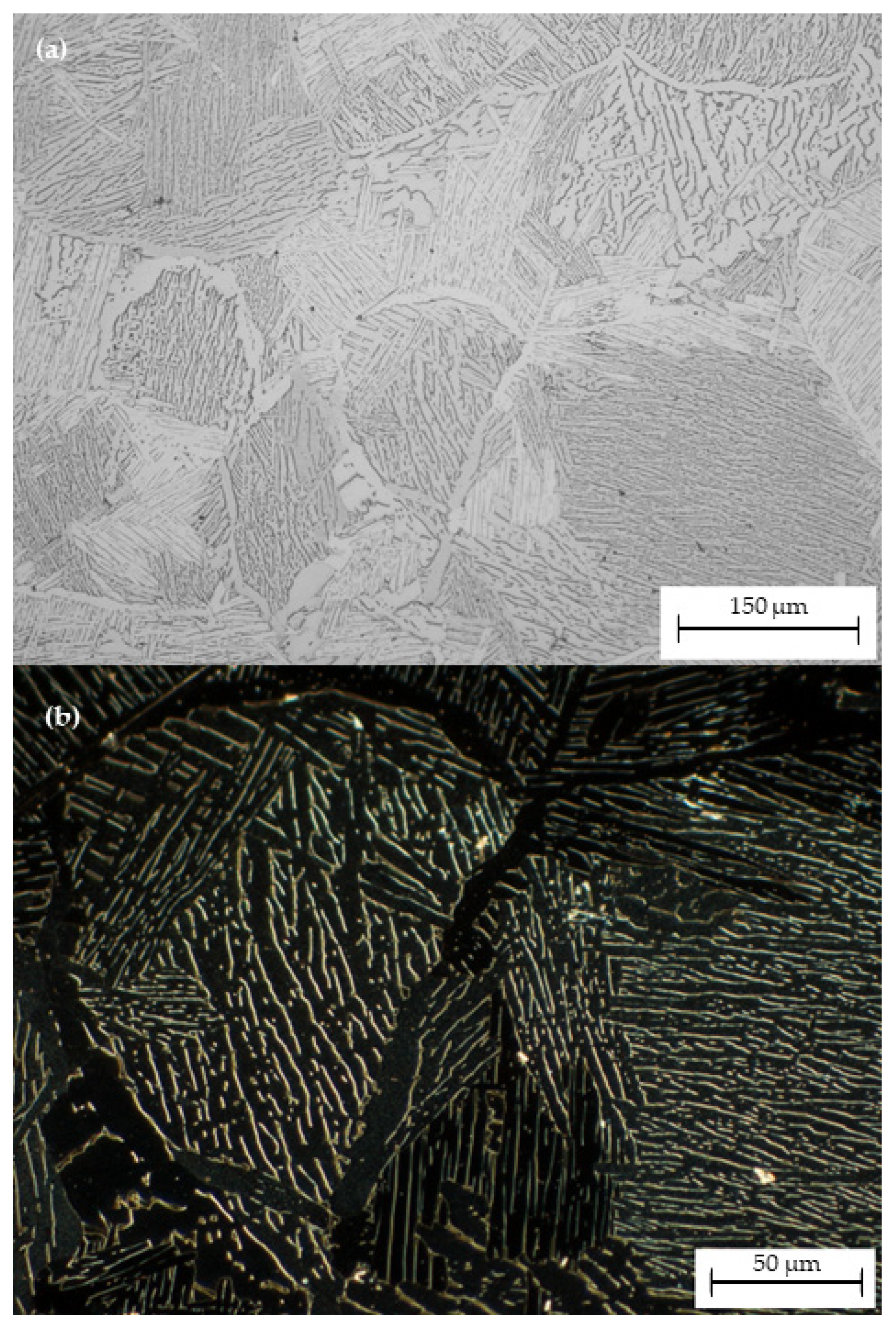 Metals 13 00173 g005