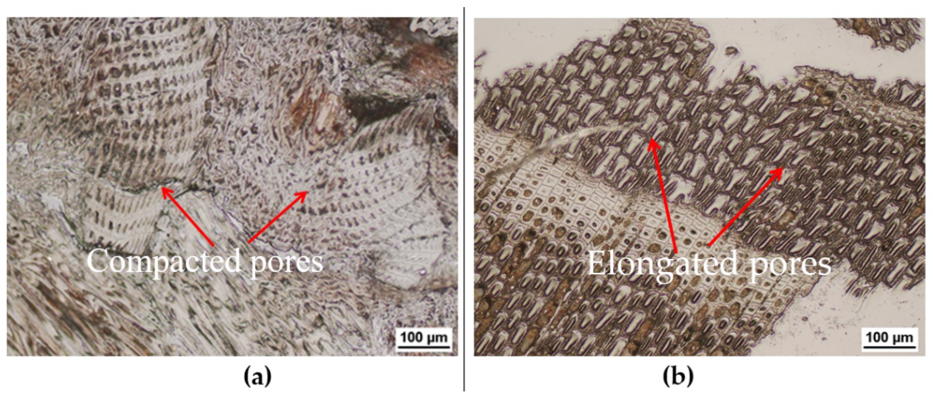 Metals 13 00175 g001