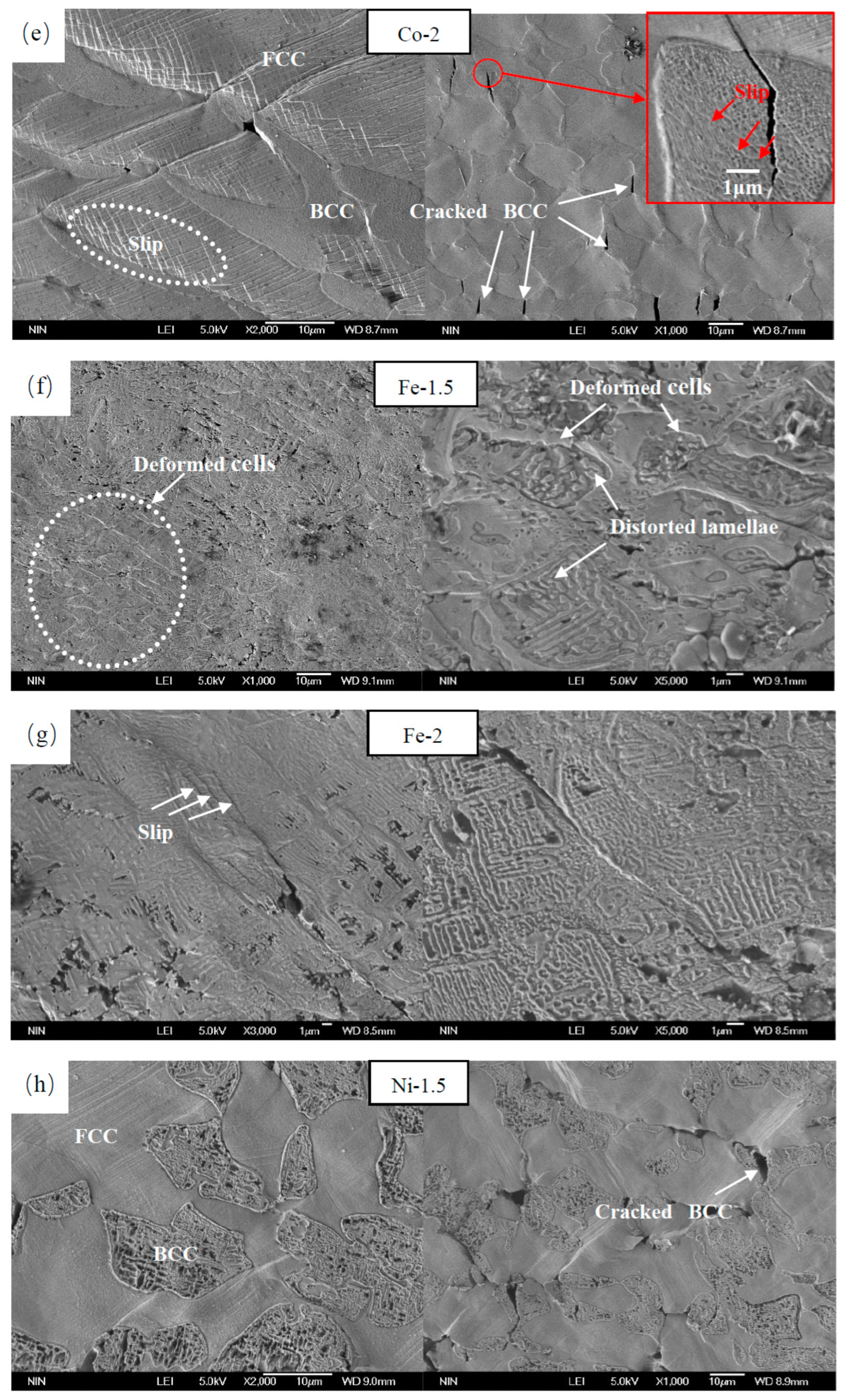 Metals 13 00178 g012b Metals 13 00178 g012b