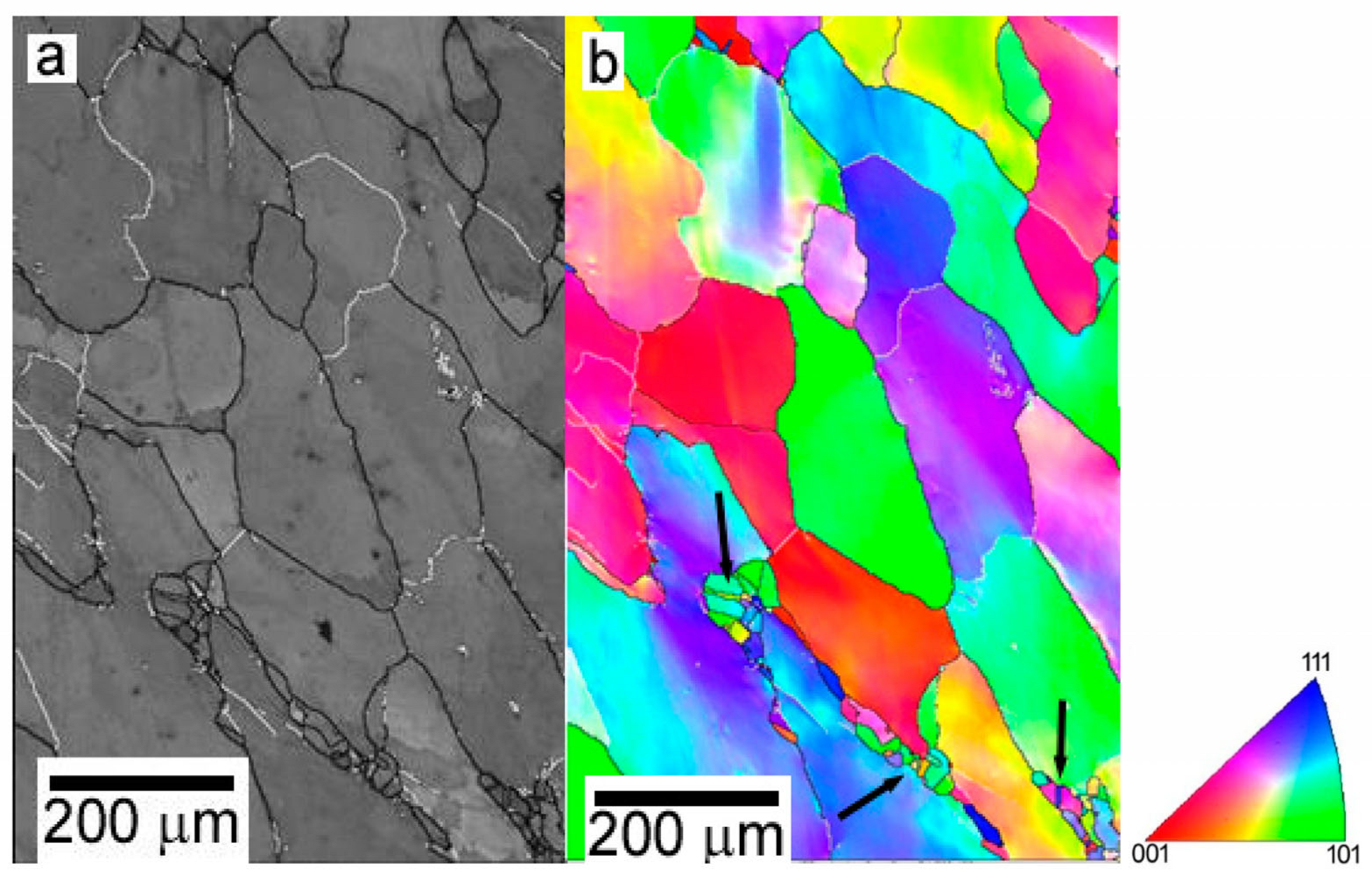 Metals 13 00180 g002