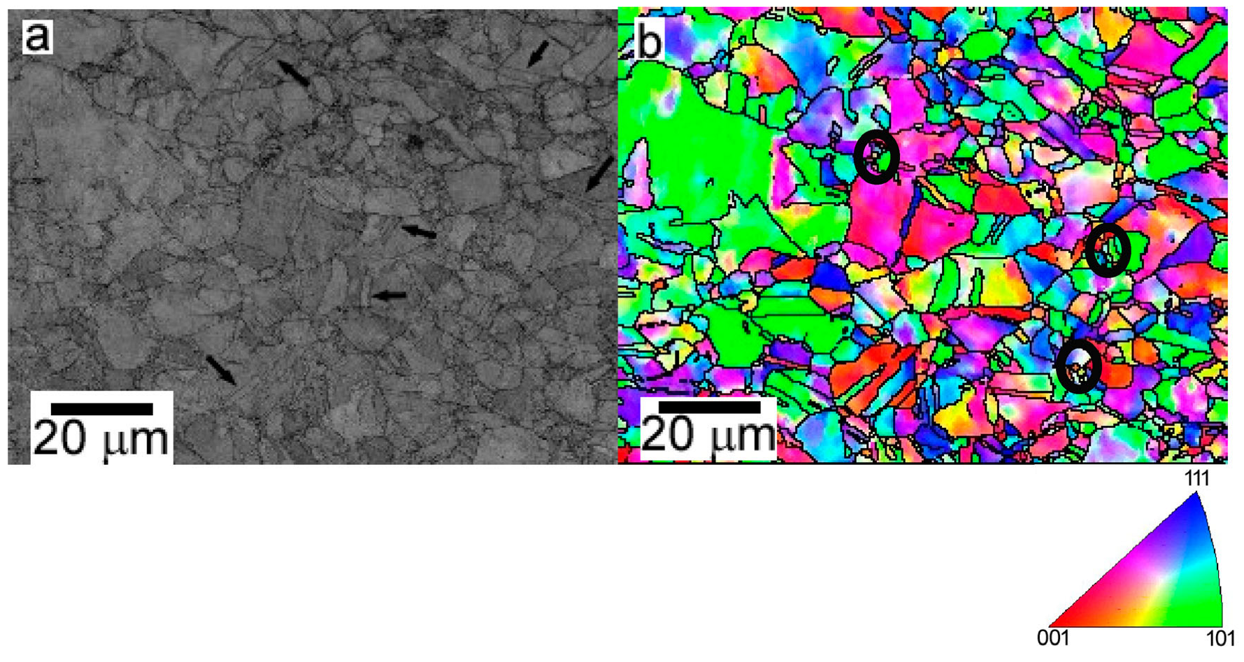 Metals 13 00180 g007