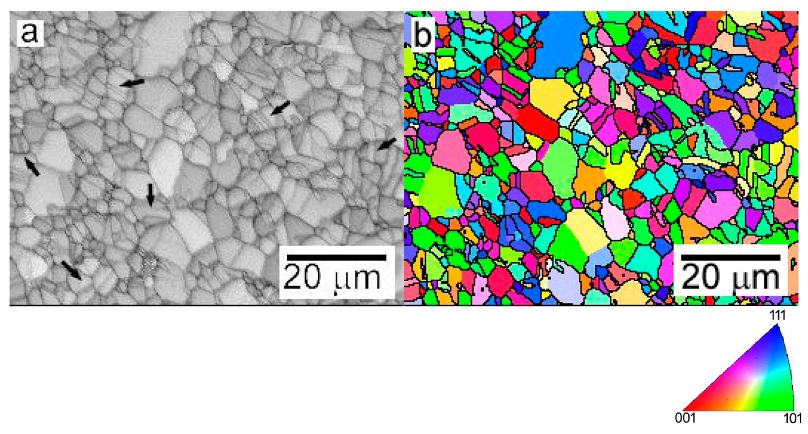 Metals 13 00180 g012