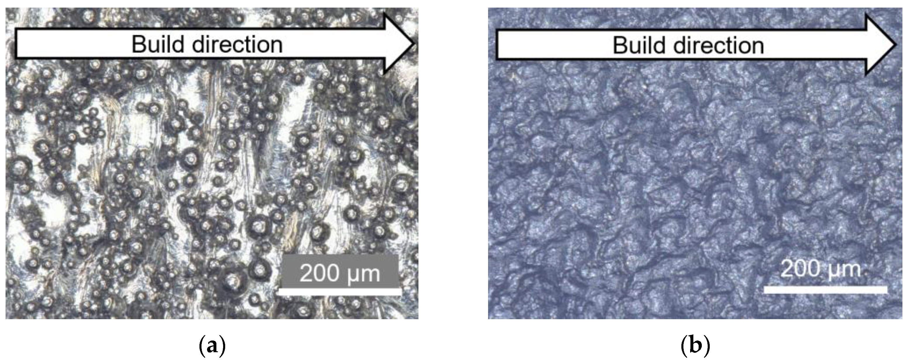 Metals 13 00181 g008