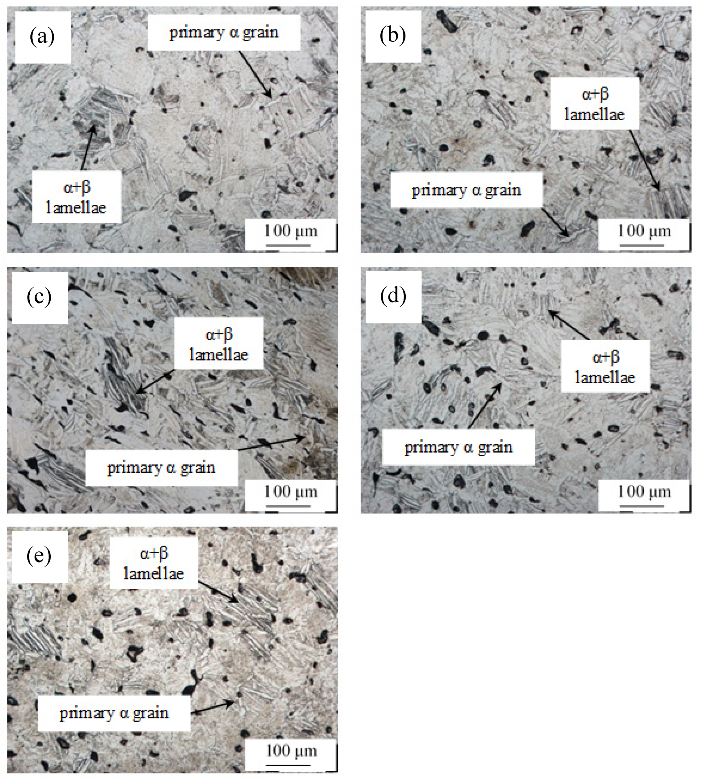 Metals 13 00189 g001