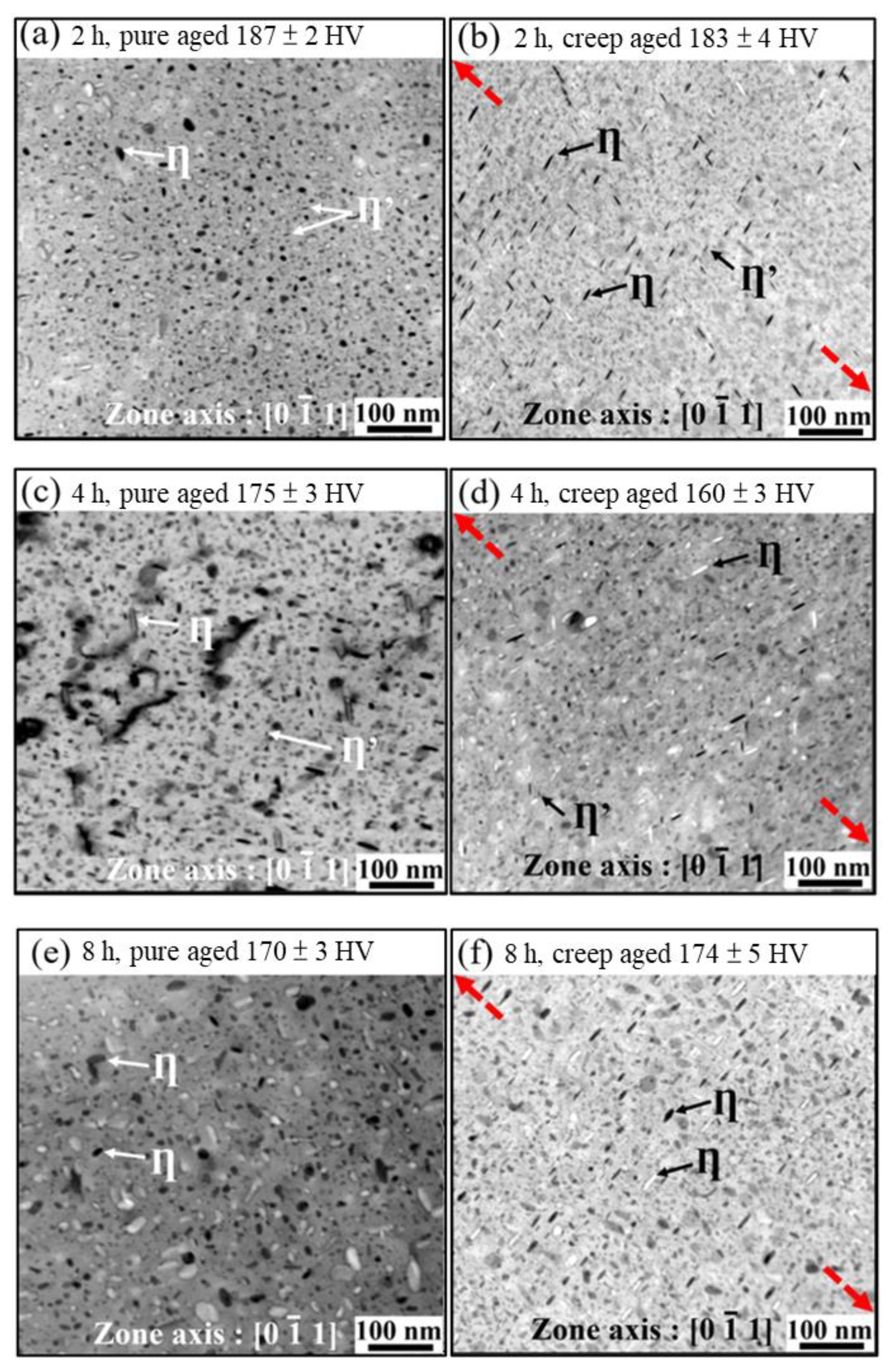 Metals 13 00196 g007