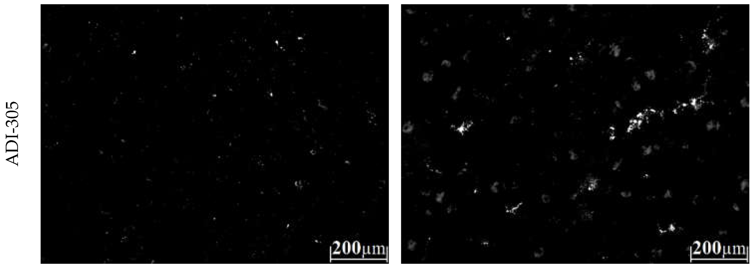 Metals 13 00198 g010b