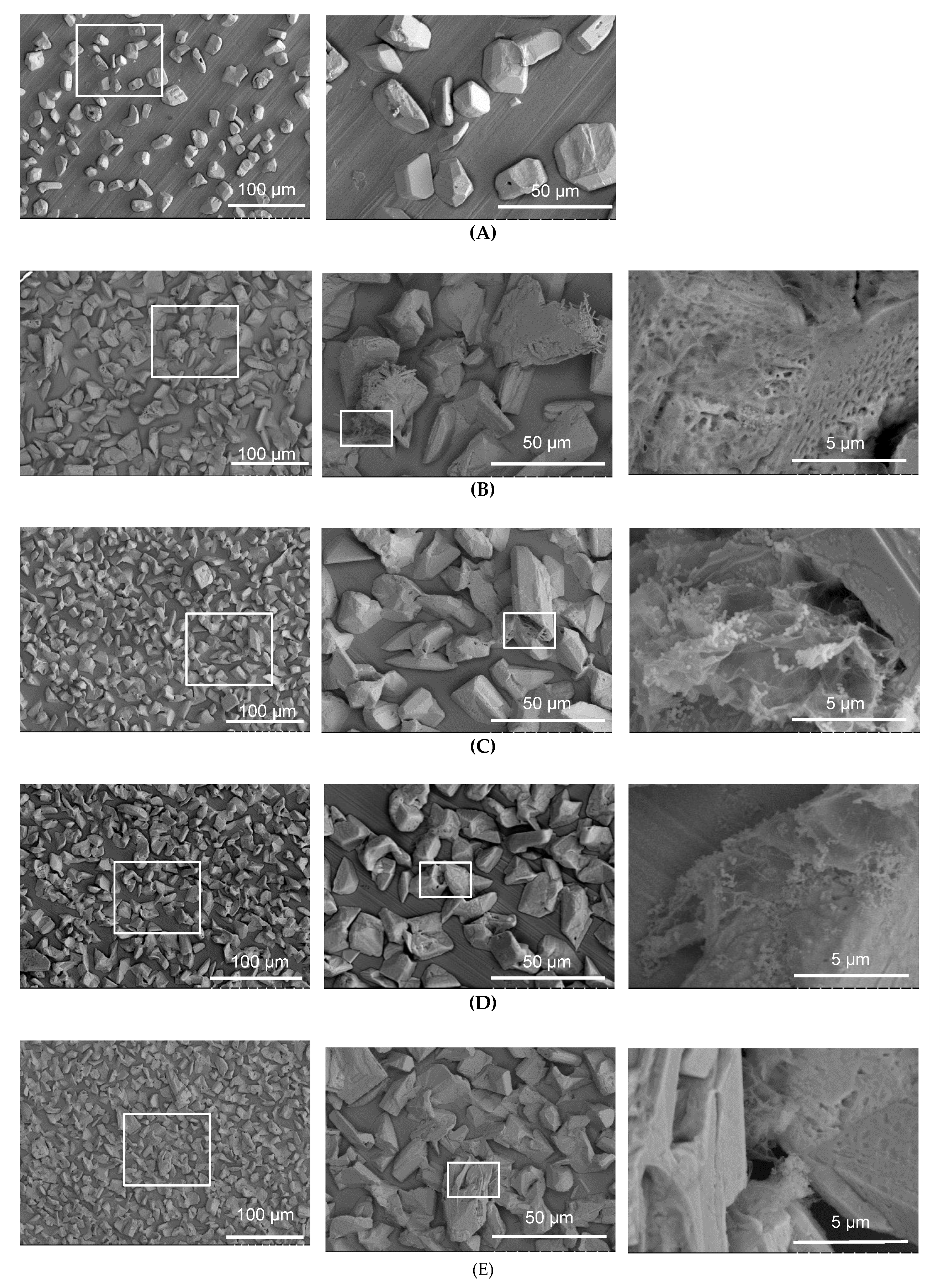 Metals 13 00203 g007