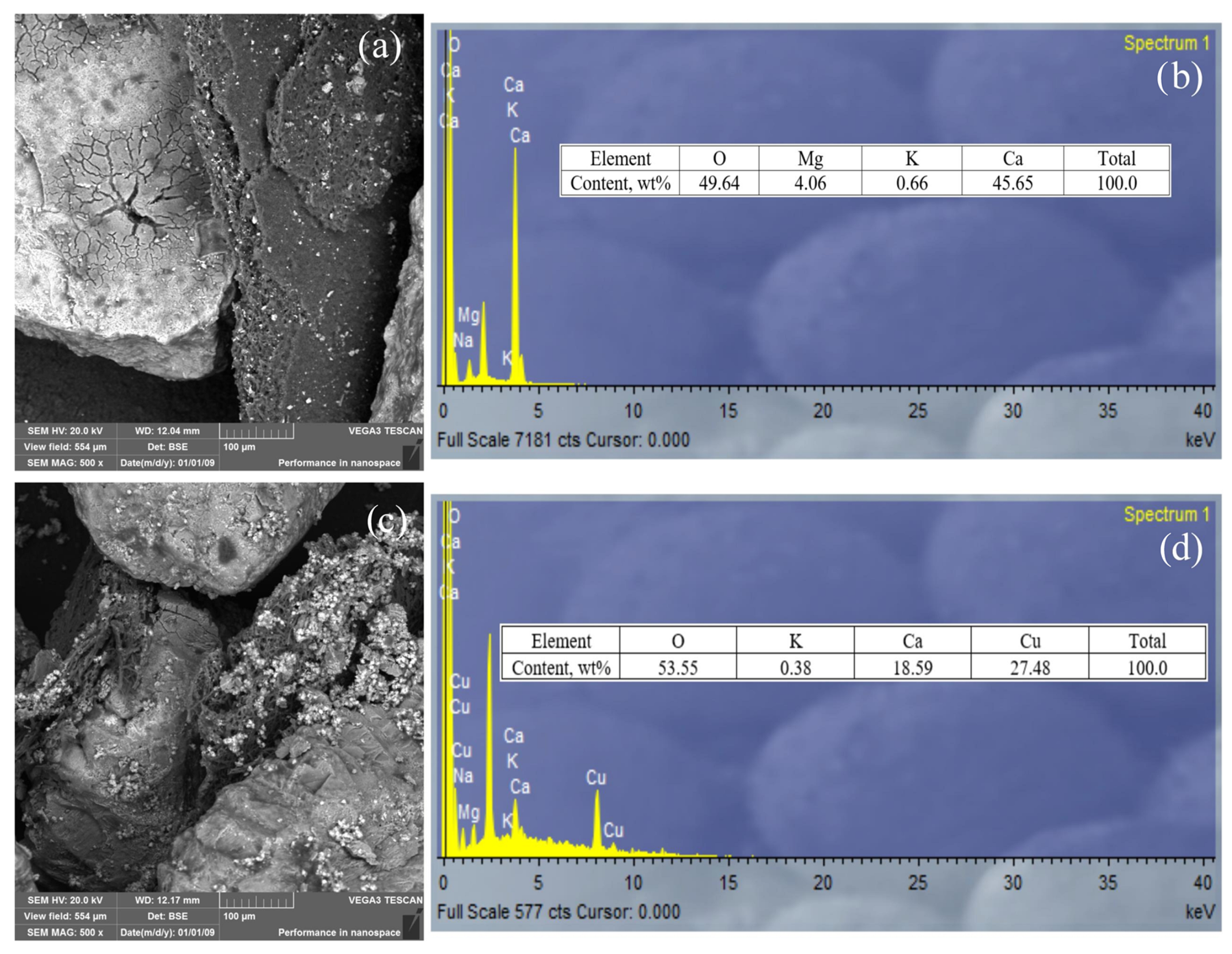 Metals 13 00206 g004