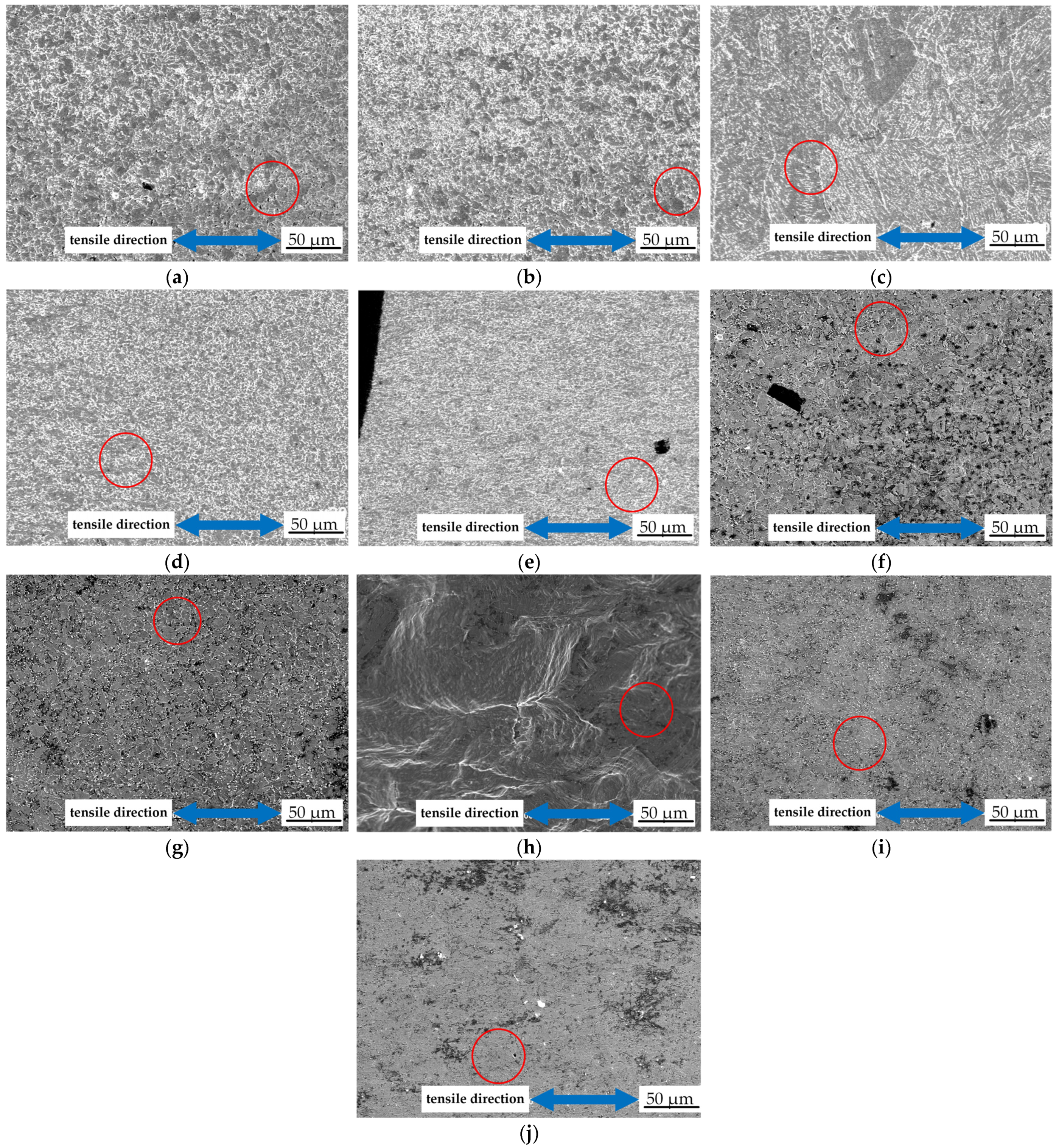 Metals 13 00226 g006