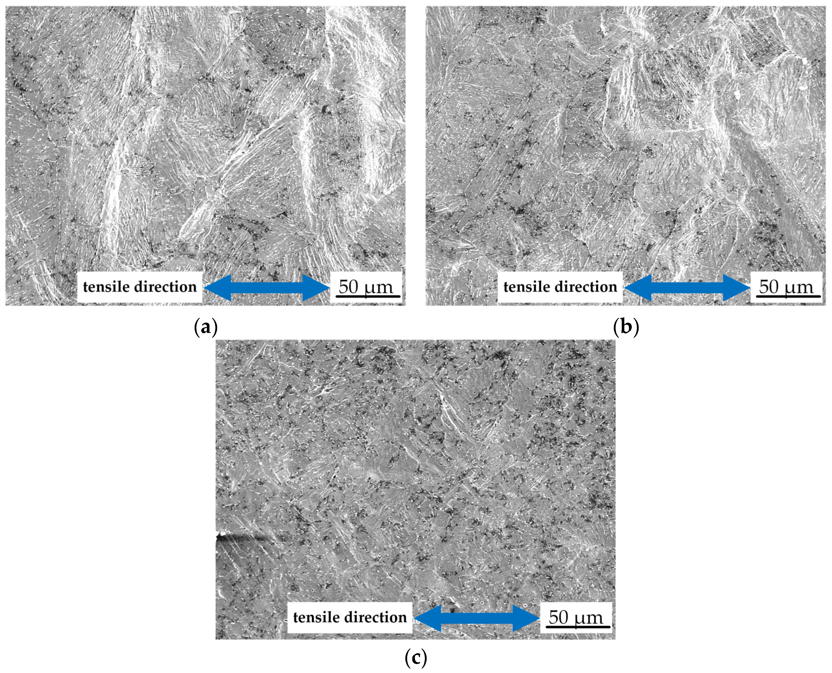 Metals 13 00226 g007