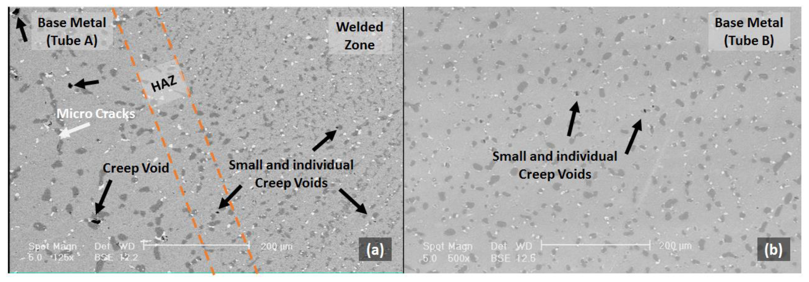 Metals 13 00228 g008 Metals 13 00228 g008