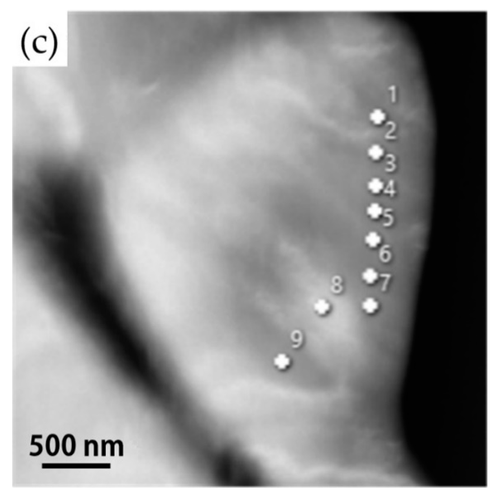 Metals 13 00234 g006b