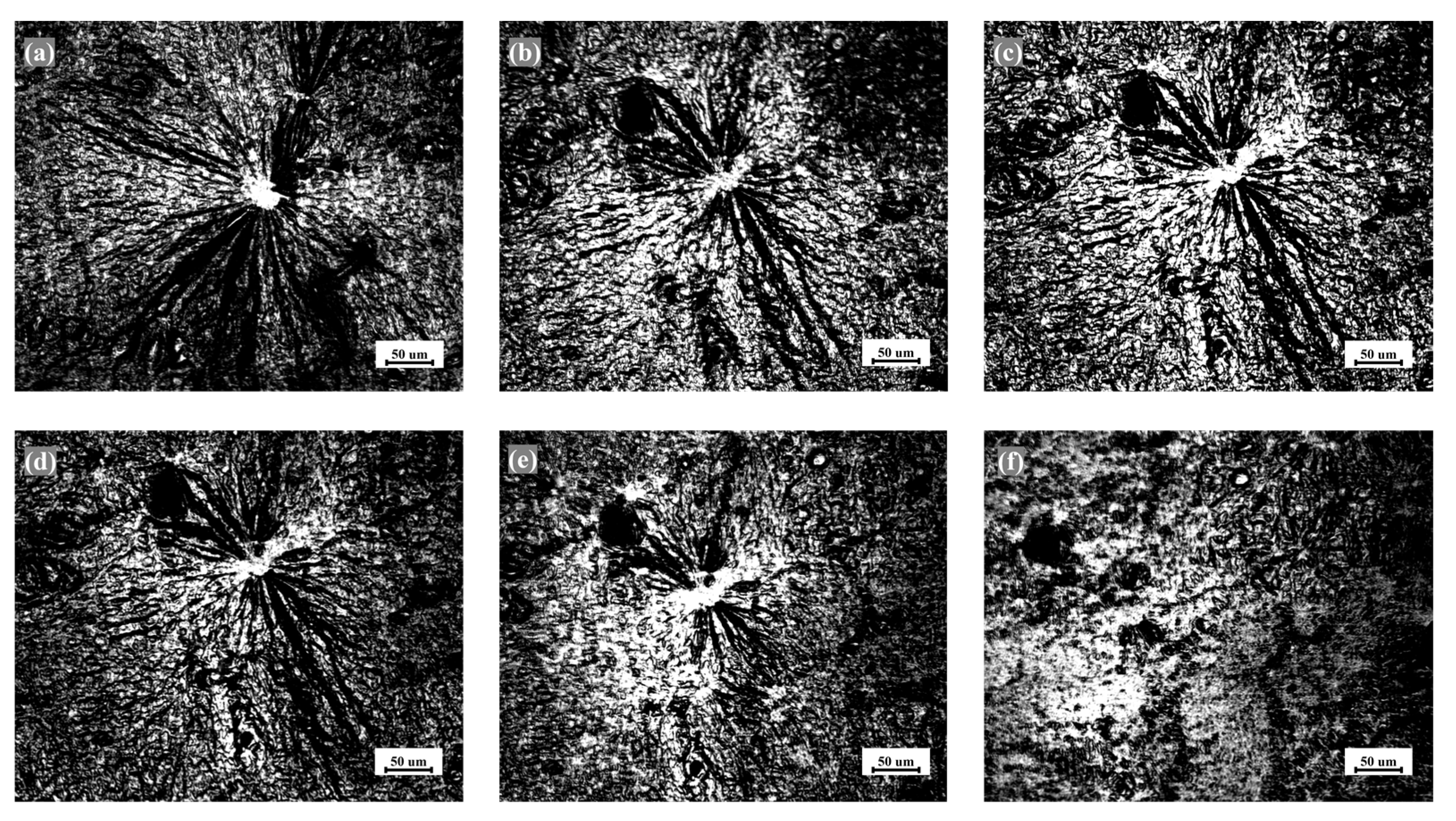 Metals 13 00236 g006