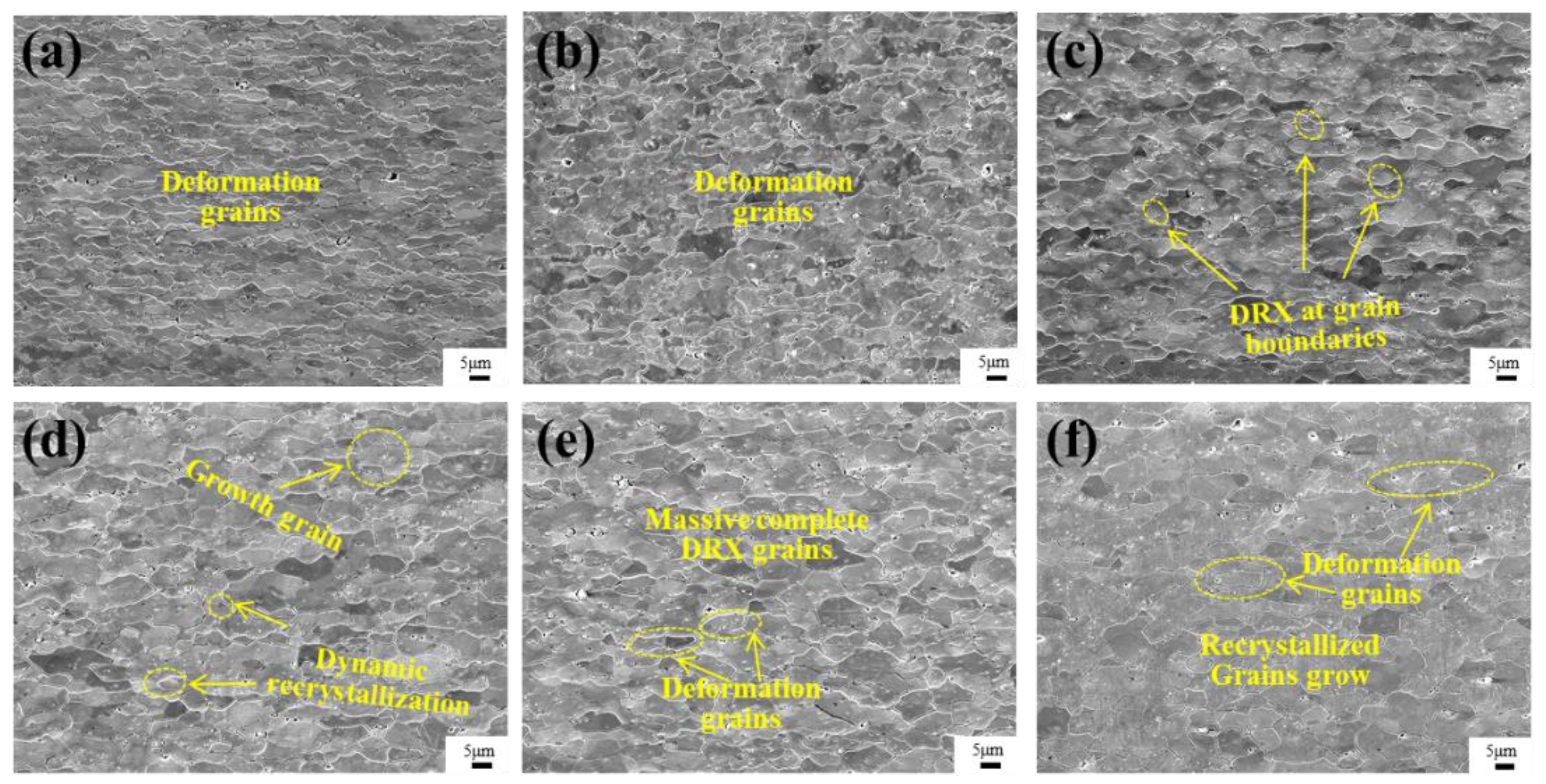 Metals 13 00238 g005