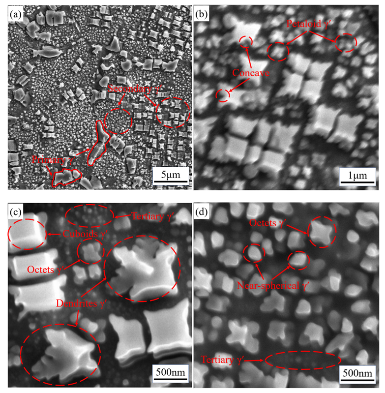 Metals 13 00239 g004