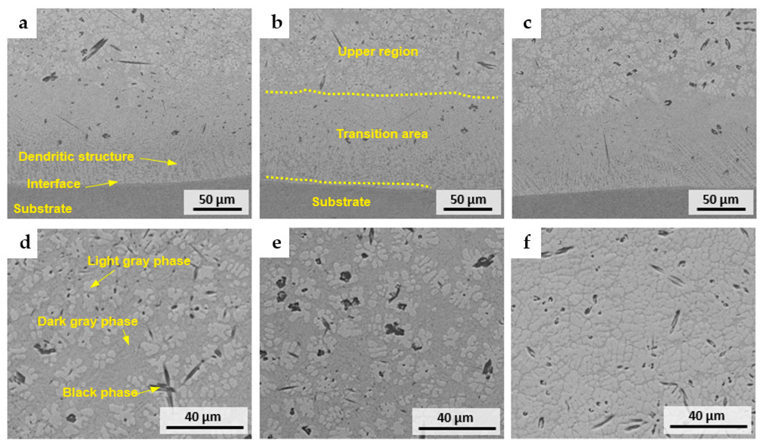 Metals 13 00243 g003