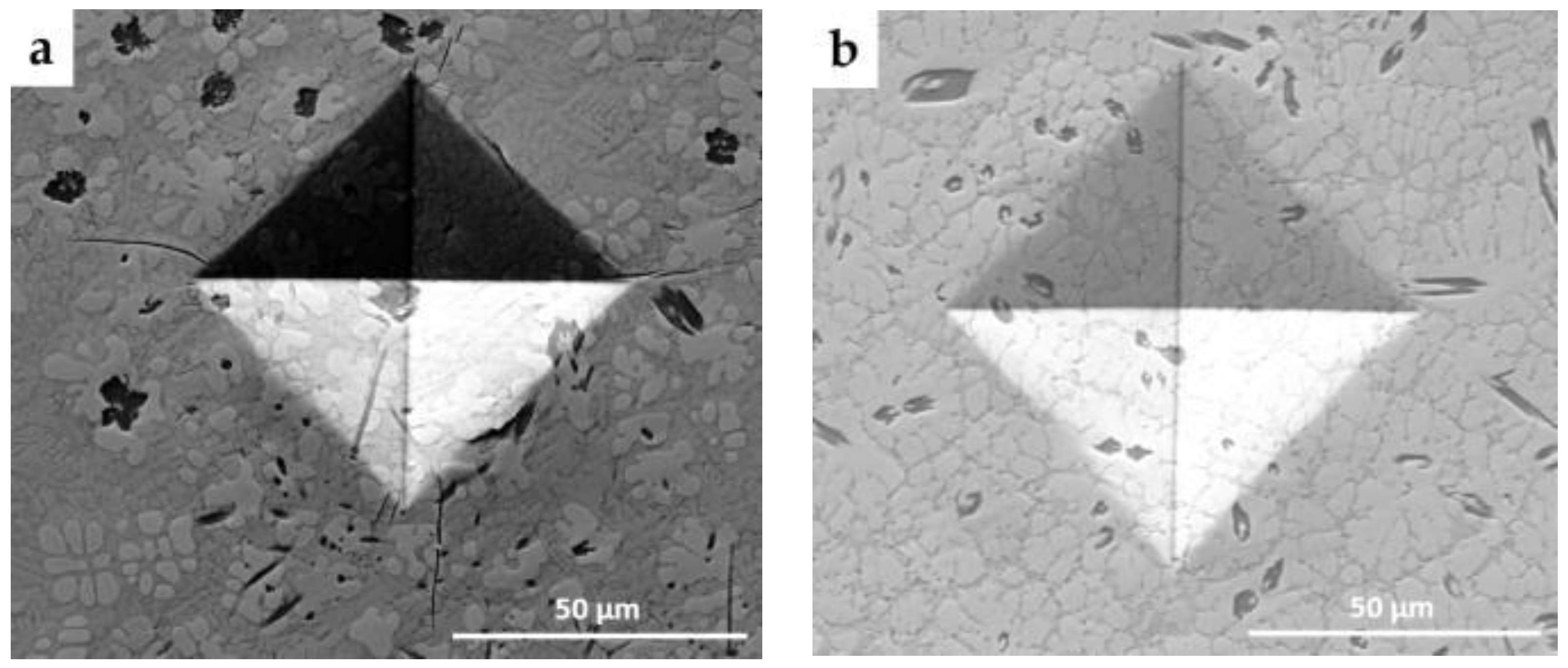 Metals 13 00243 g009