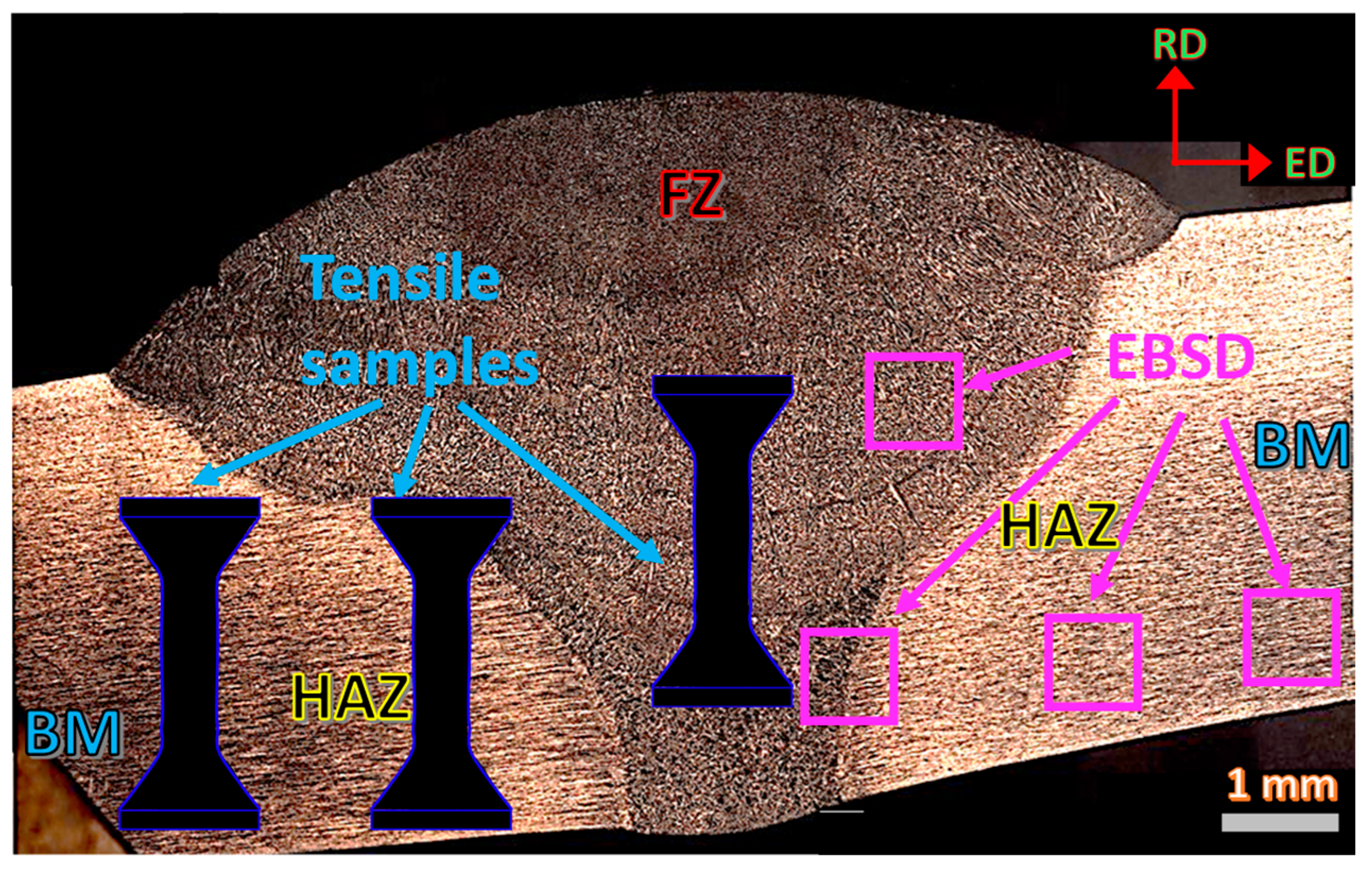 Metals 13 00245 g002