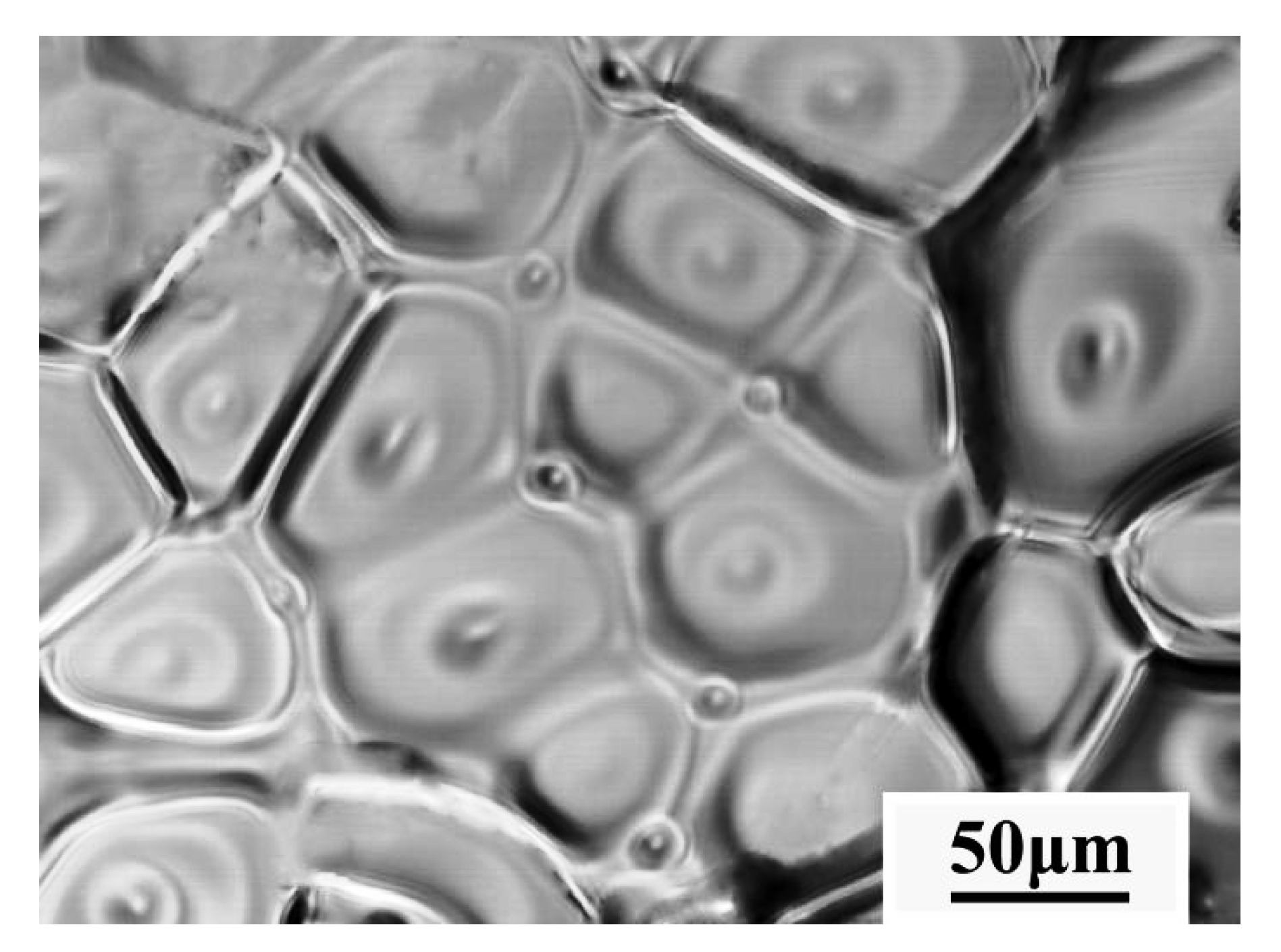 Metals 13 00246 g004