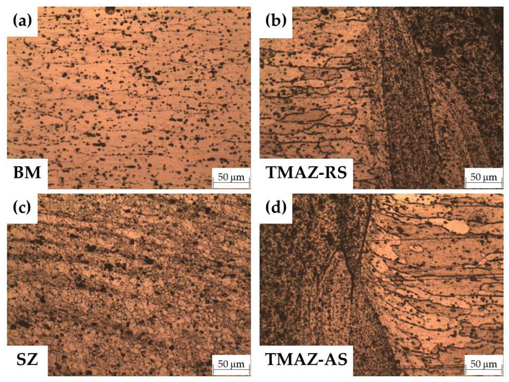 Metals 13 00252 g013