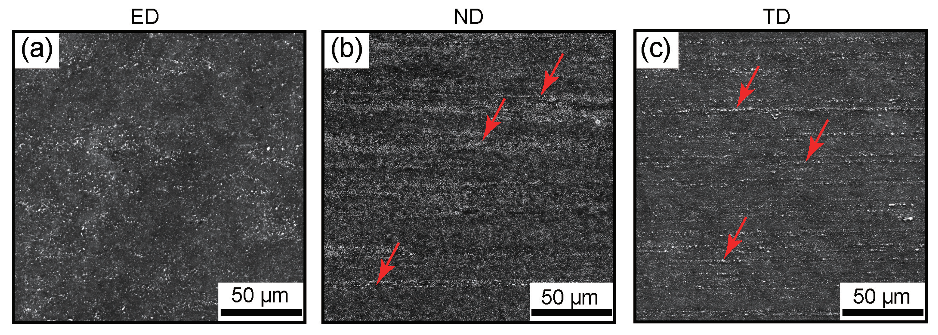 Metals 13 00254 g001 Metals 13 00254 g001