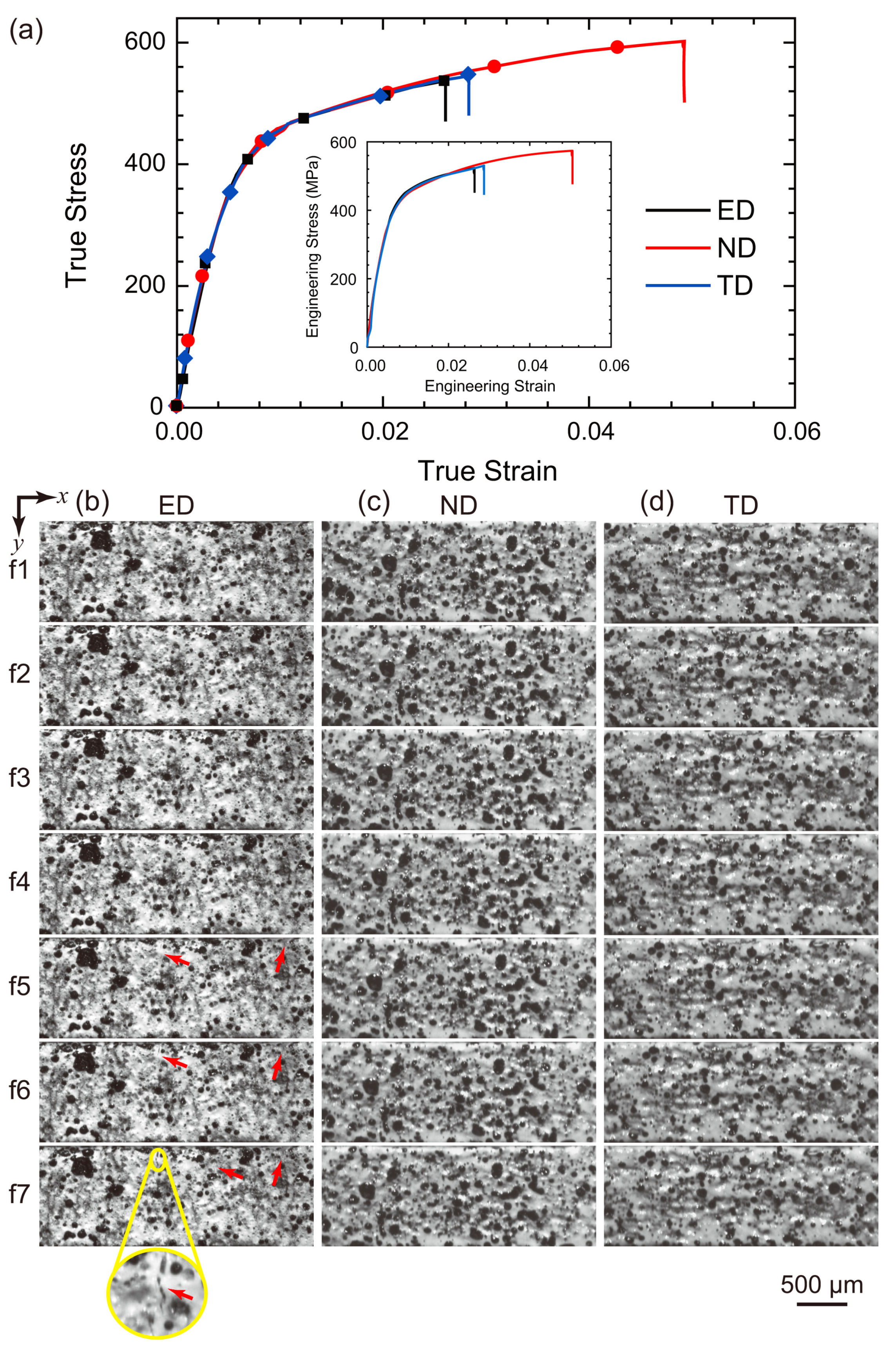 Metals 13 00254 g008 Metals 13 00254 g008