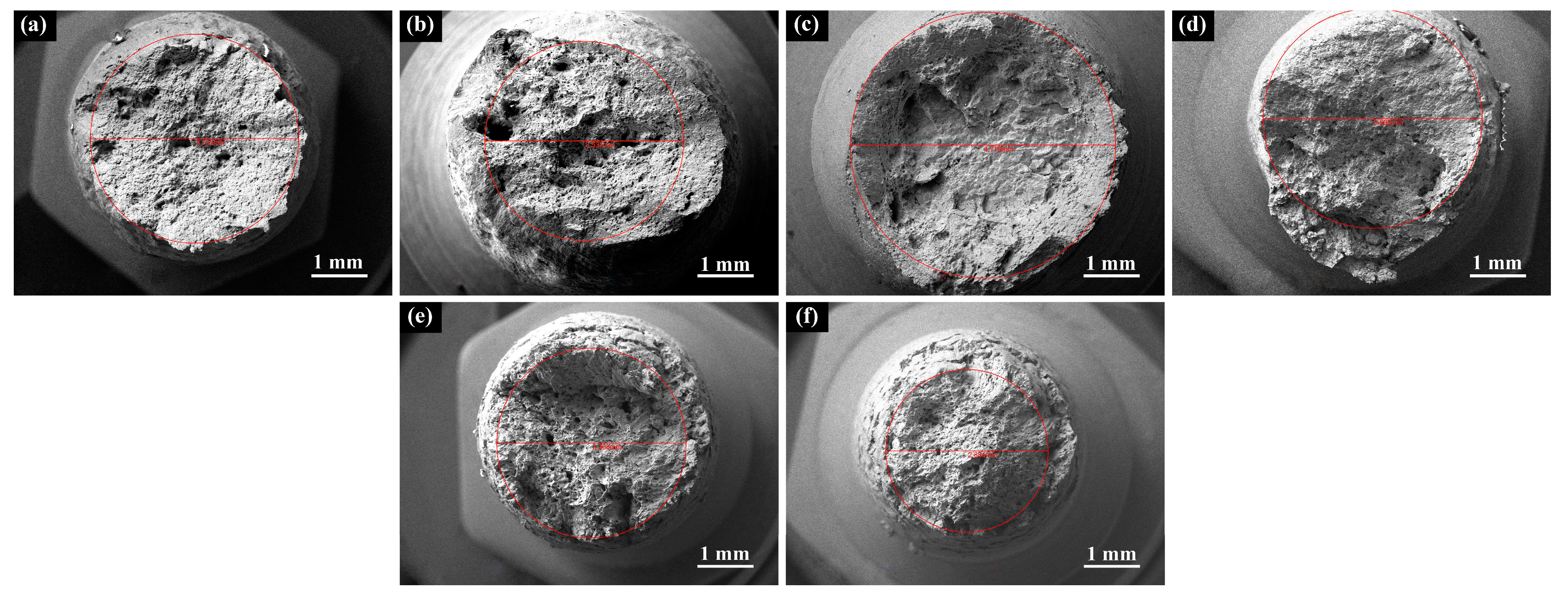 Metals 13 00257 g007