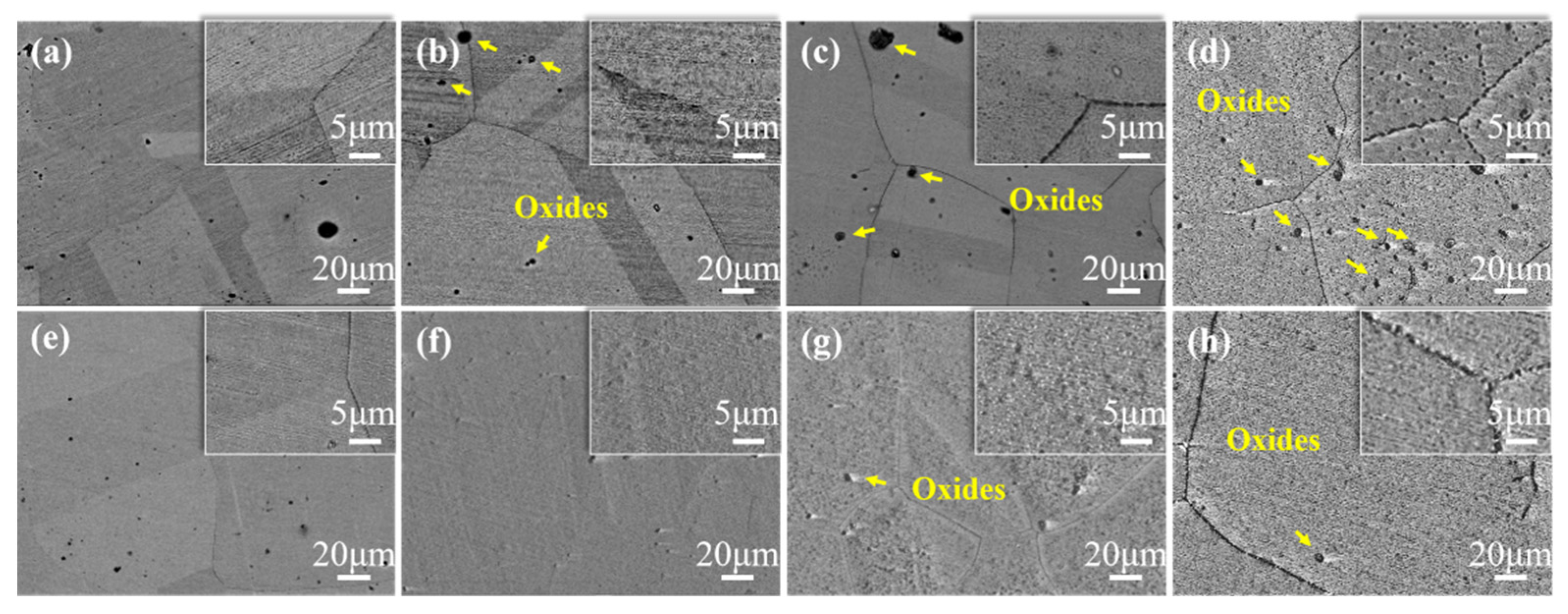 Metals 13 00258 g002 Metals 13 00258 g002
