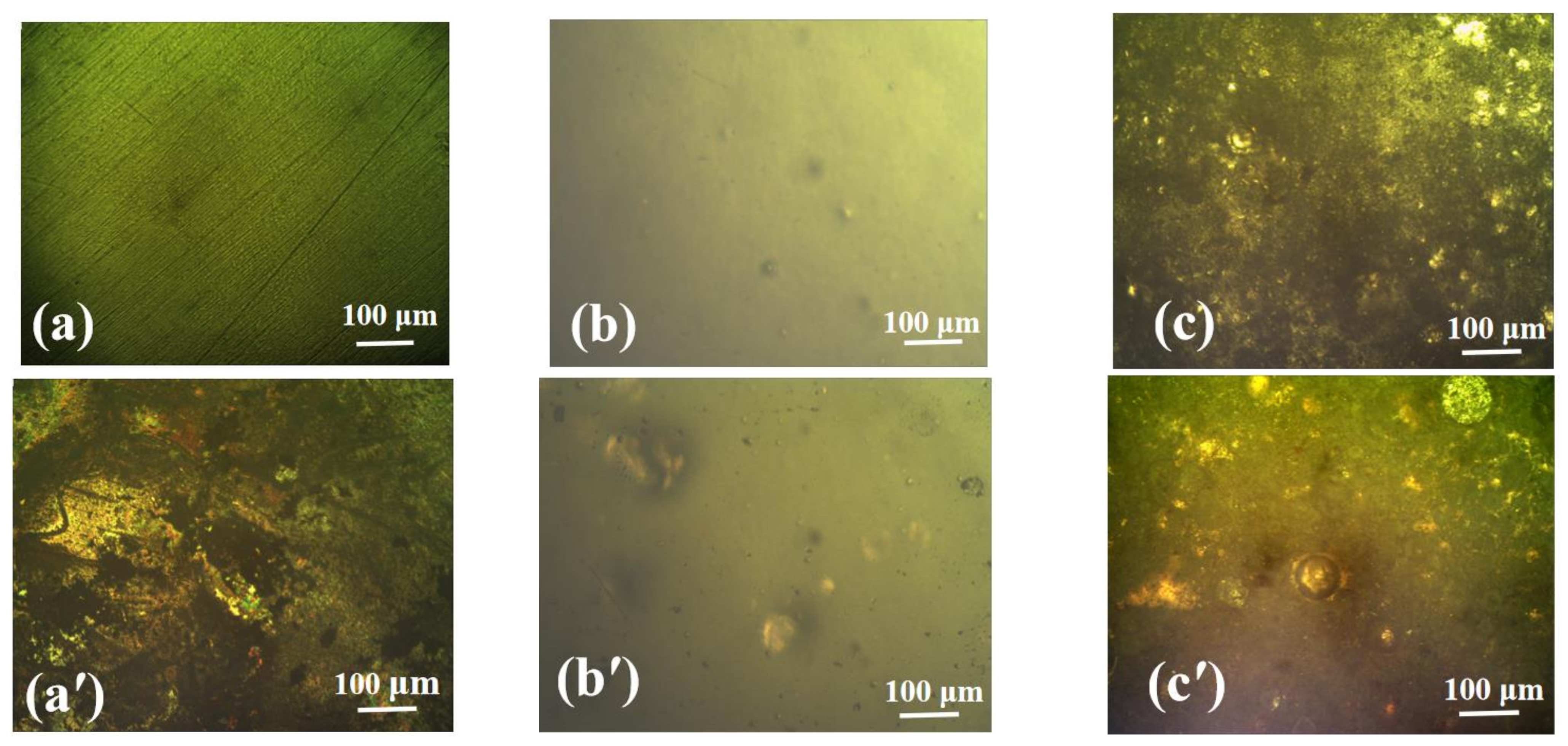 Metals 13 00260 g005