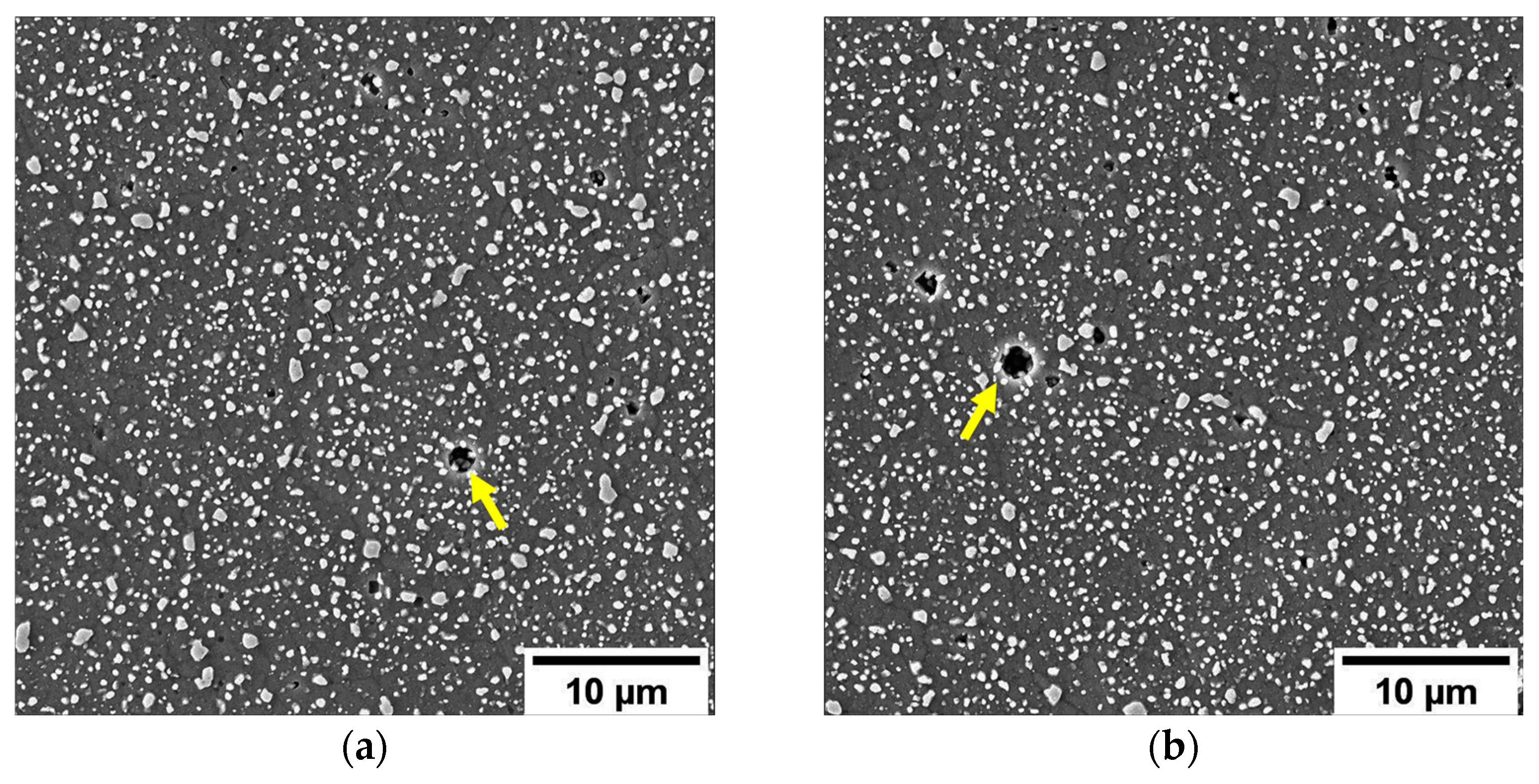 Metals 13 00263 g007a