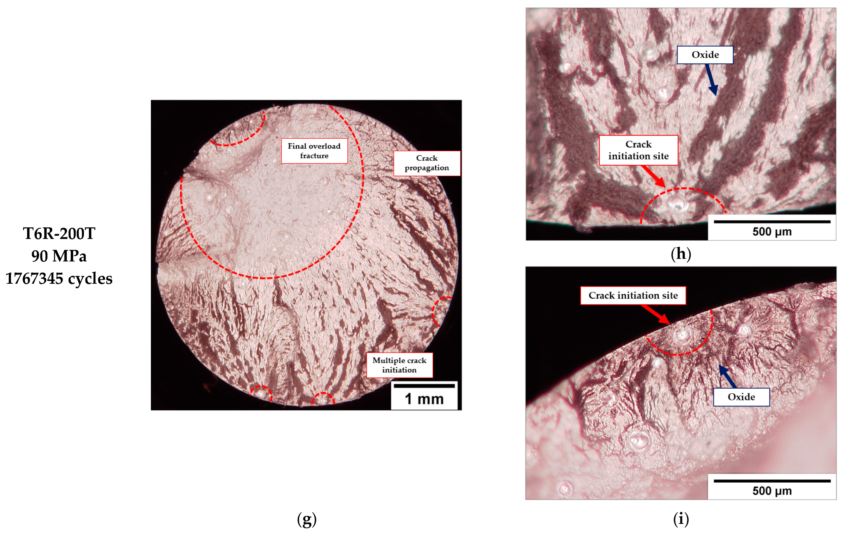 Metals 13 00263 g010b