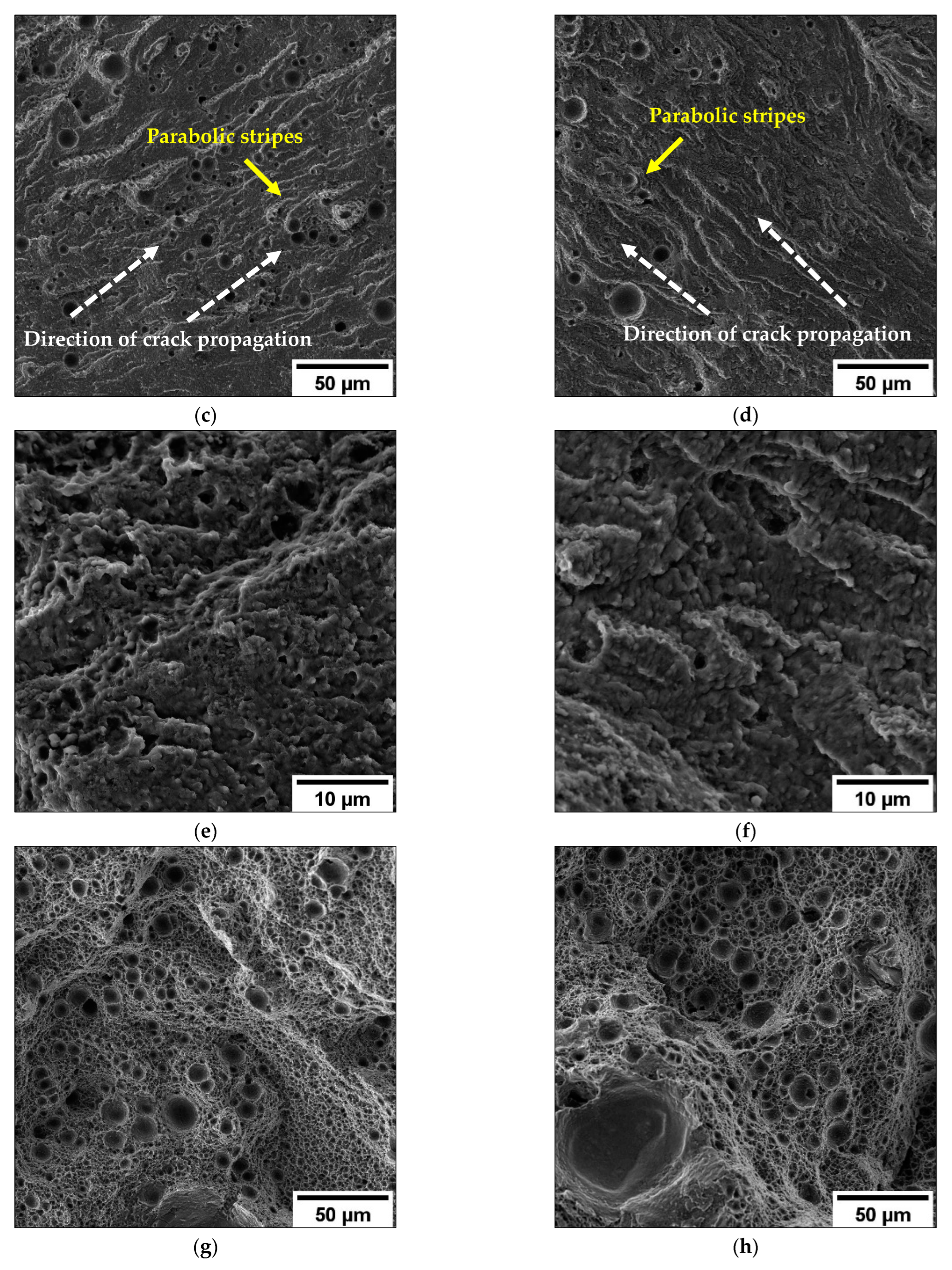 Metals 13 00263 g013b