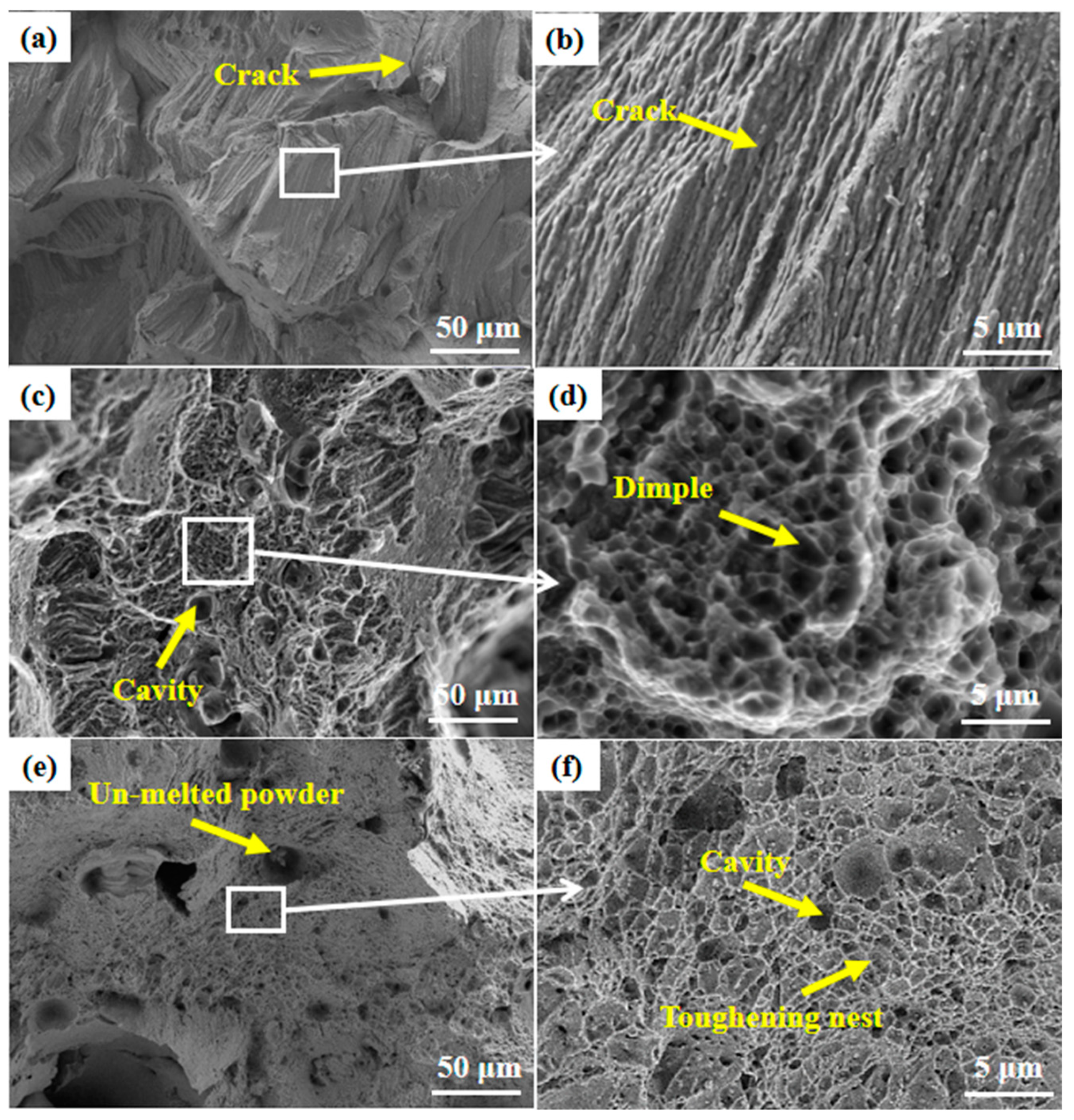 Metals 13 00268 g010