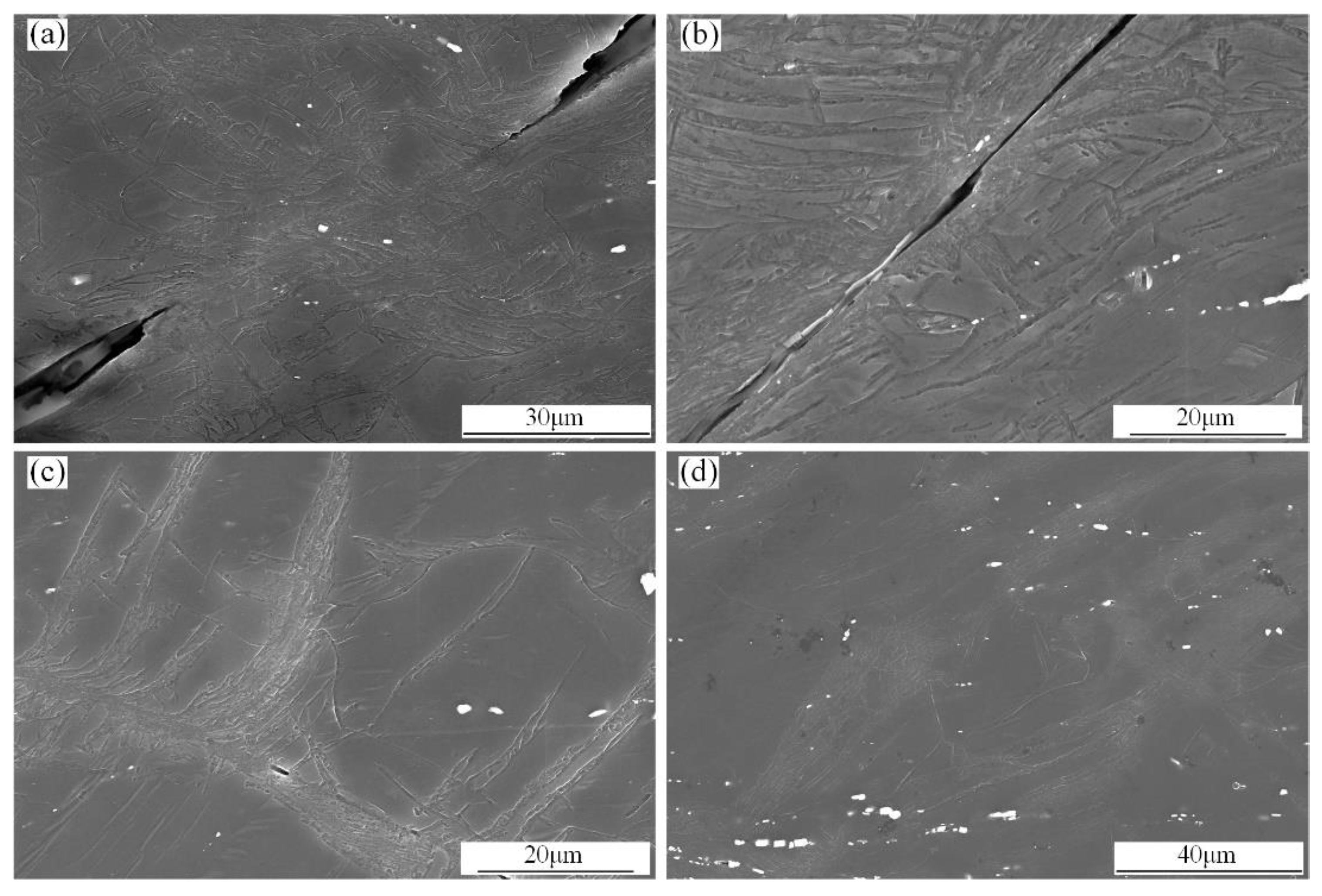 Metals 13 00274 g007 Metals 13 00274 g007