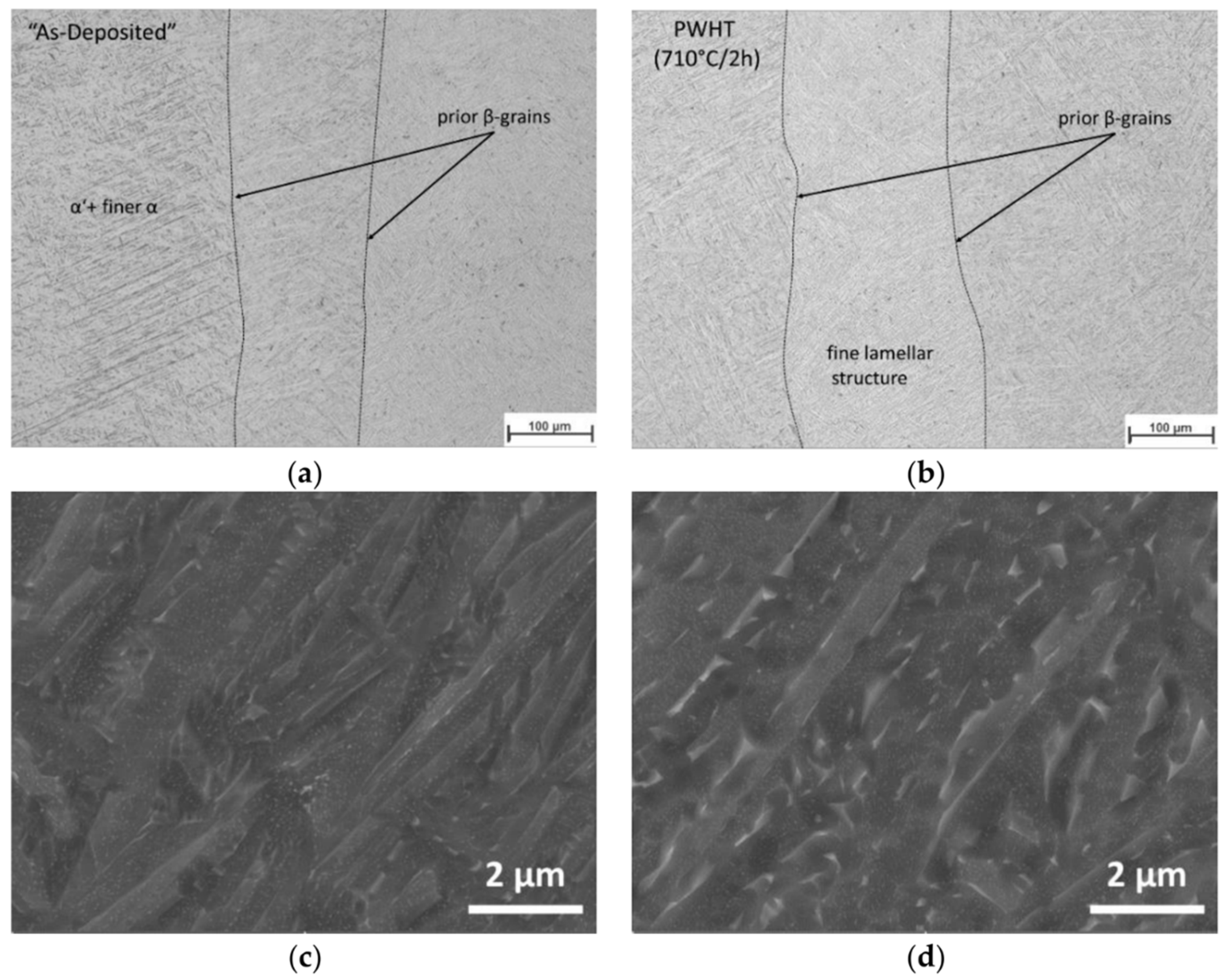 Metals 13 00279 g002