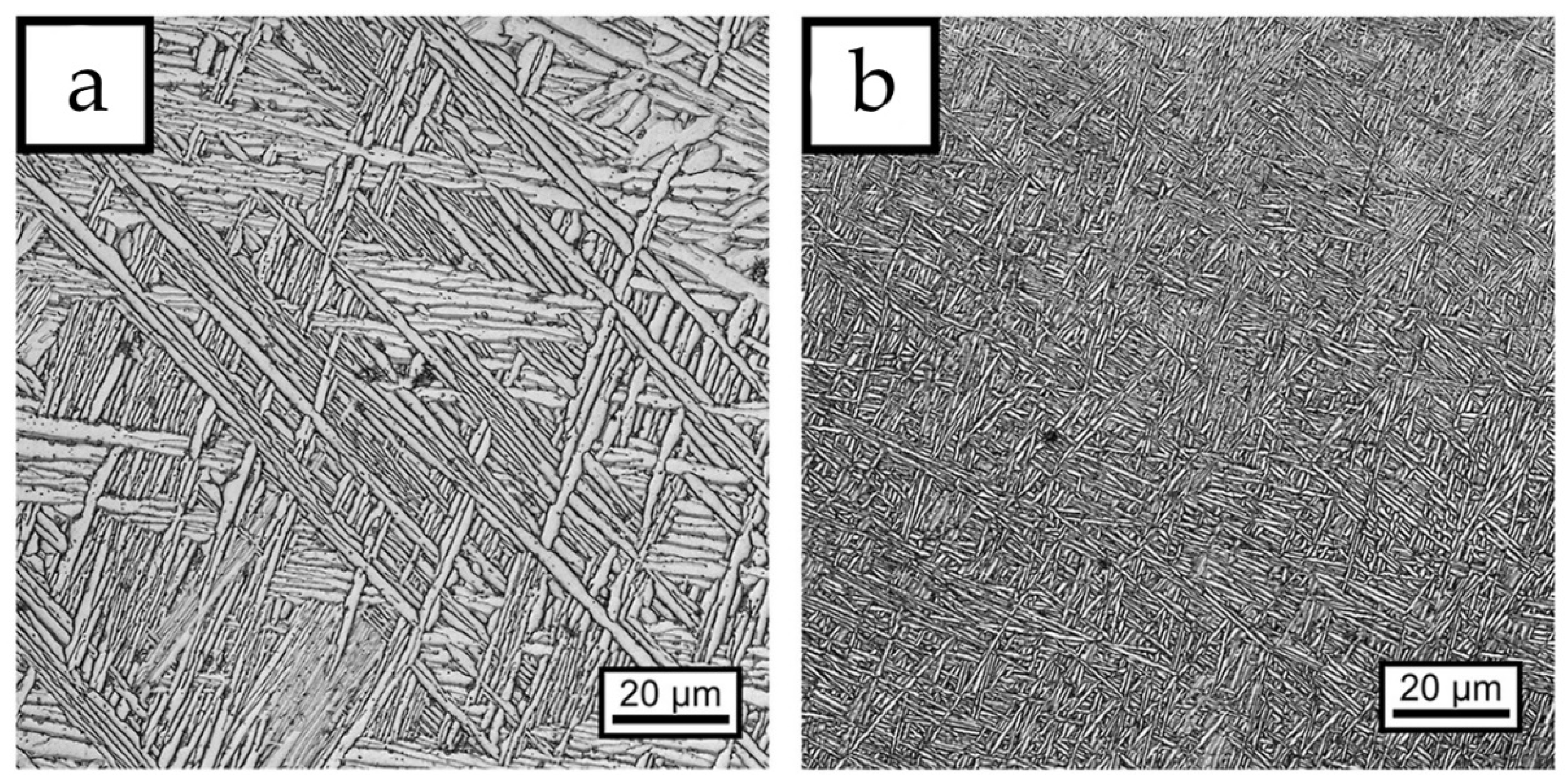 Metals 13 00279 g003