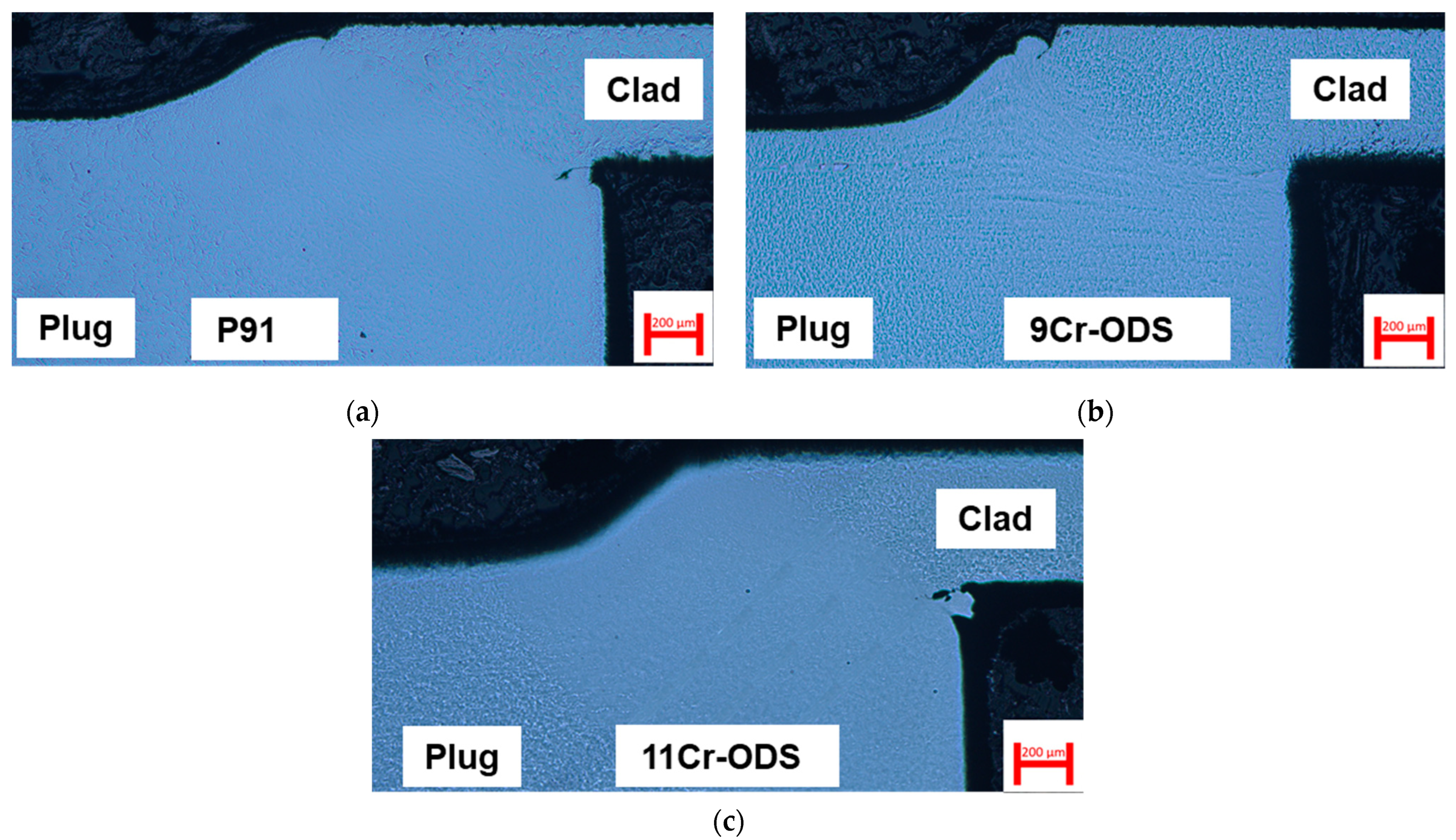 Metals 13 00291 g005