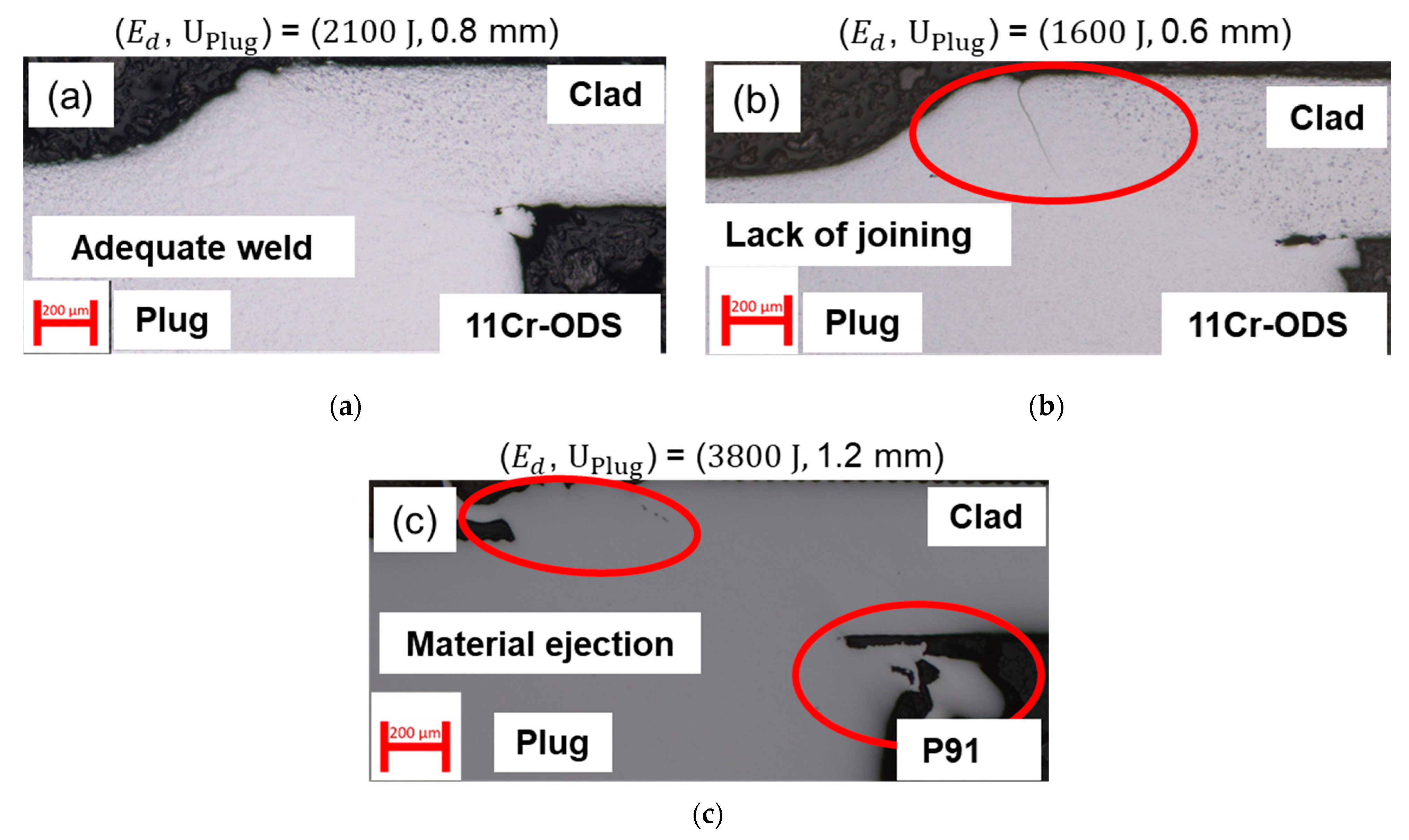 Metals 13 00291 g007