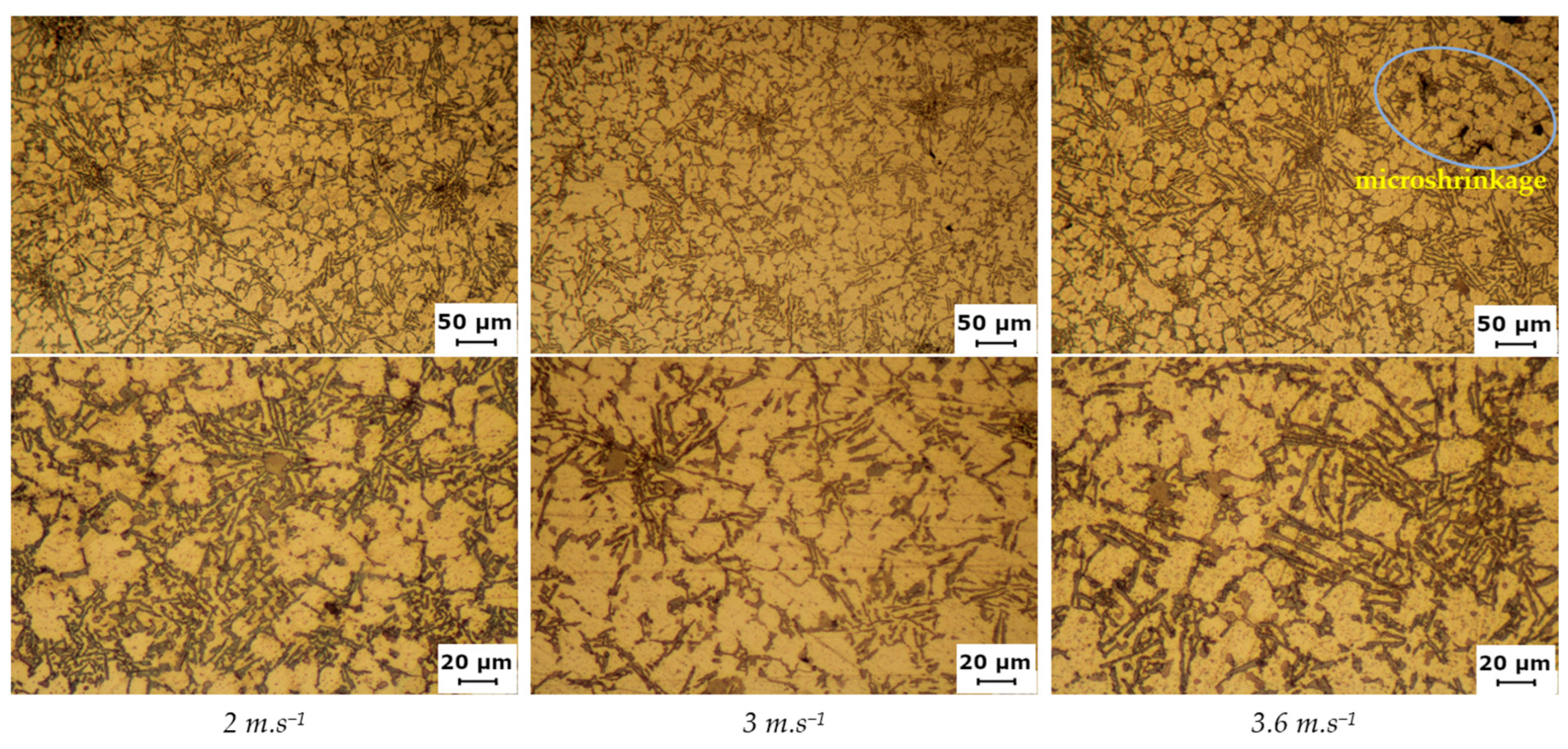 Metals 13 00295 g010