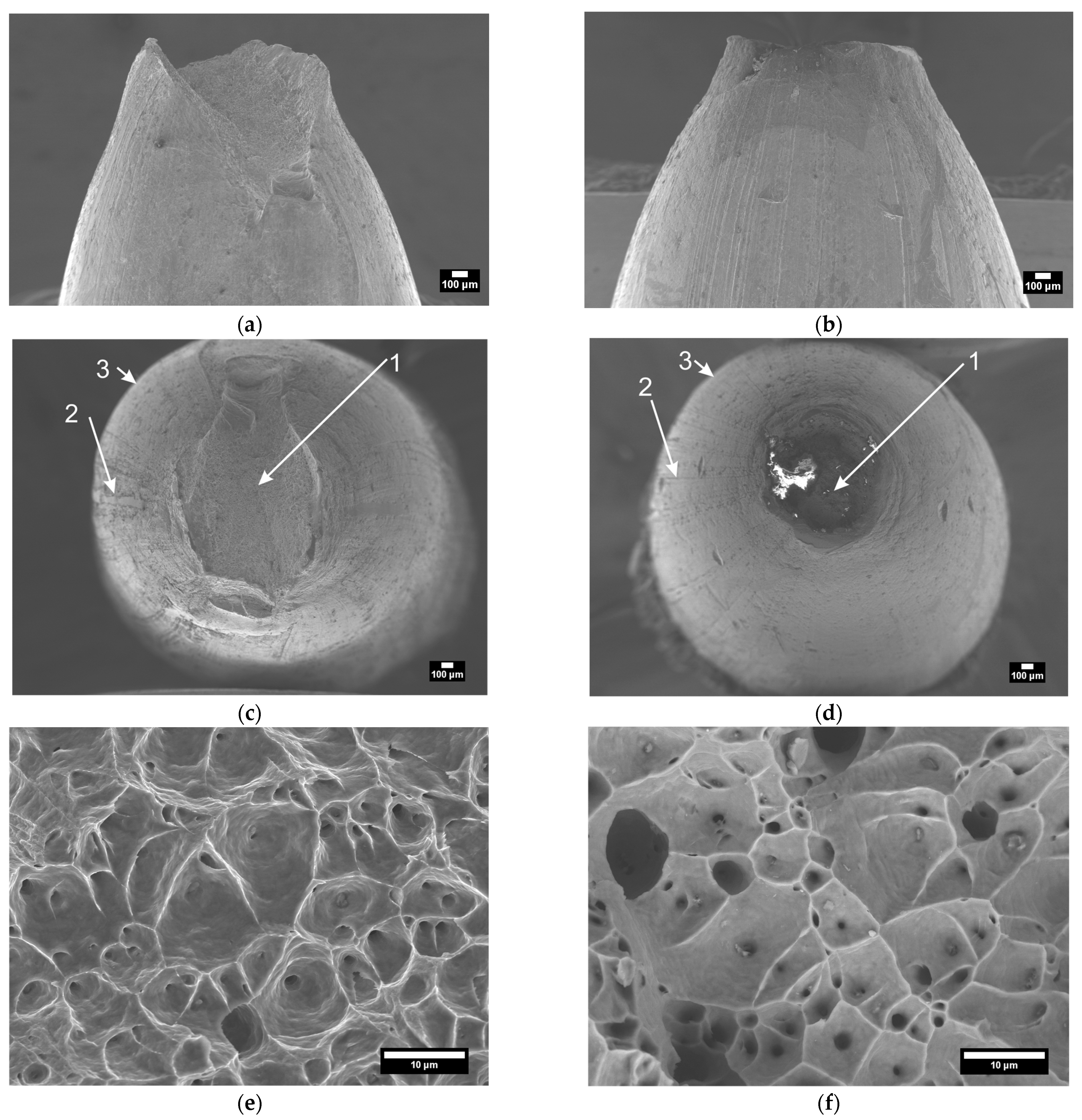 Metals 13 00298 g012