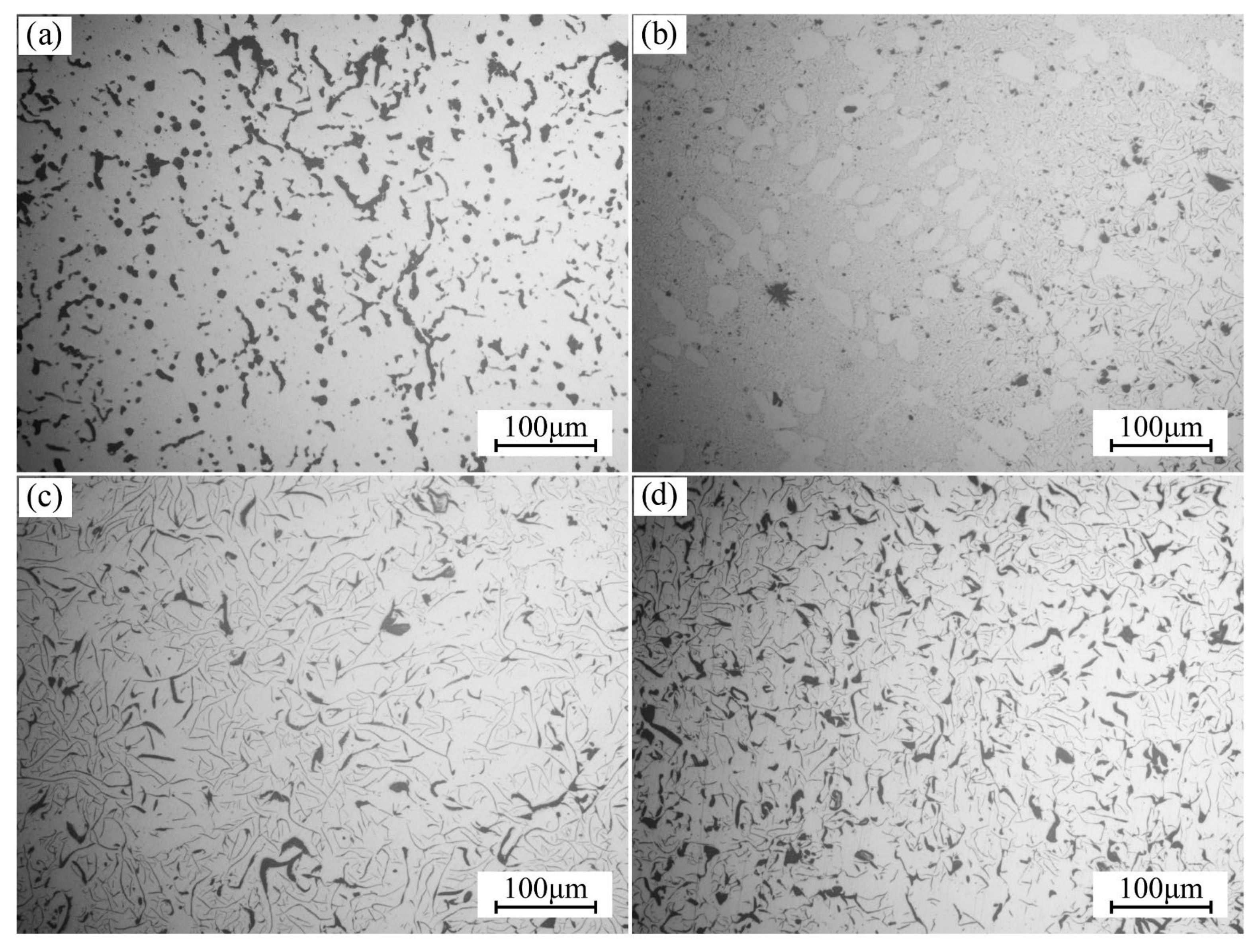 Metals 13 00302 g005